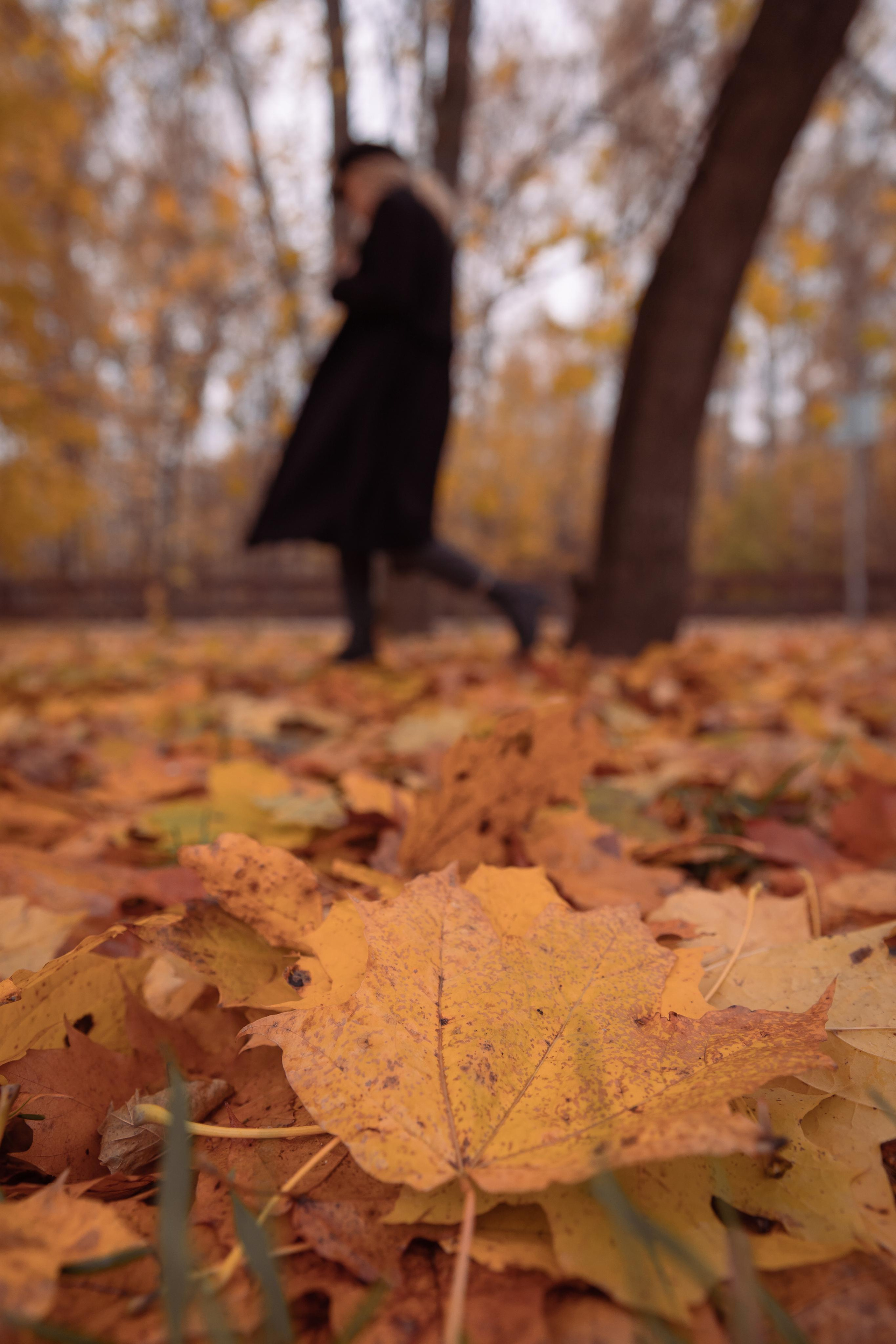 Осенняя фотосессия на природе. Свадебные видео