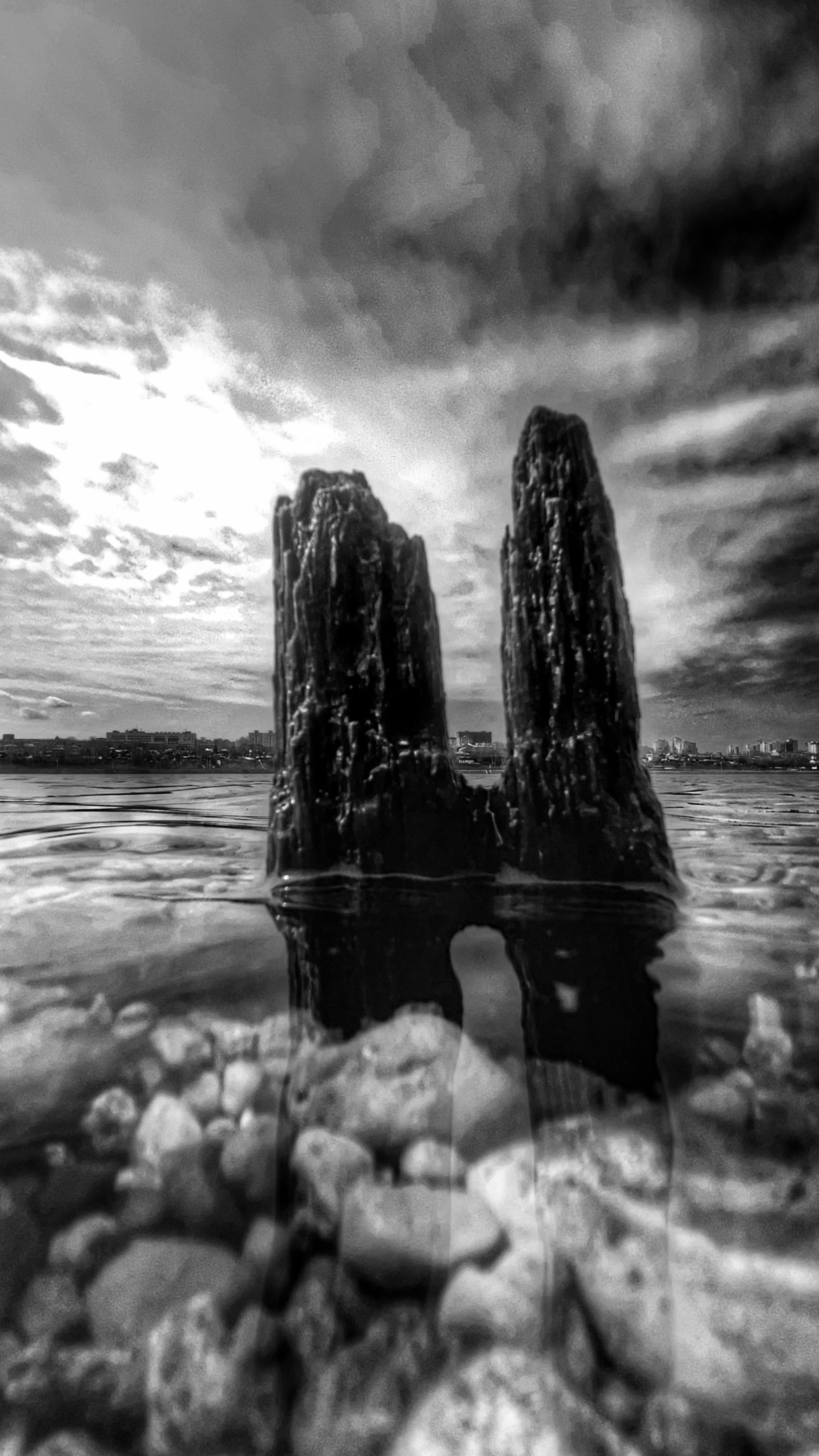 2024. Тащилин Сергей. Фотографии. Жизнь. Хобби