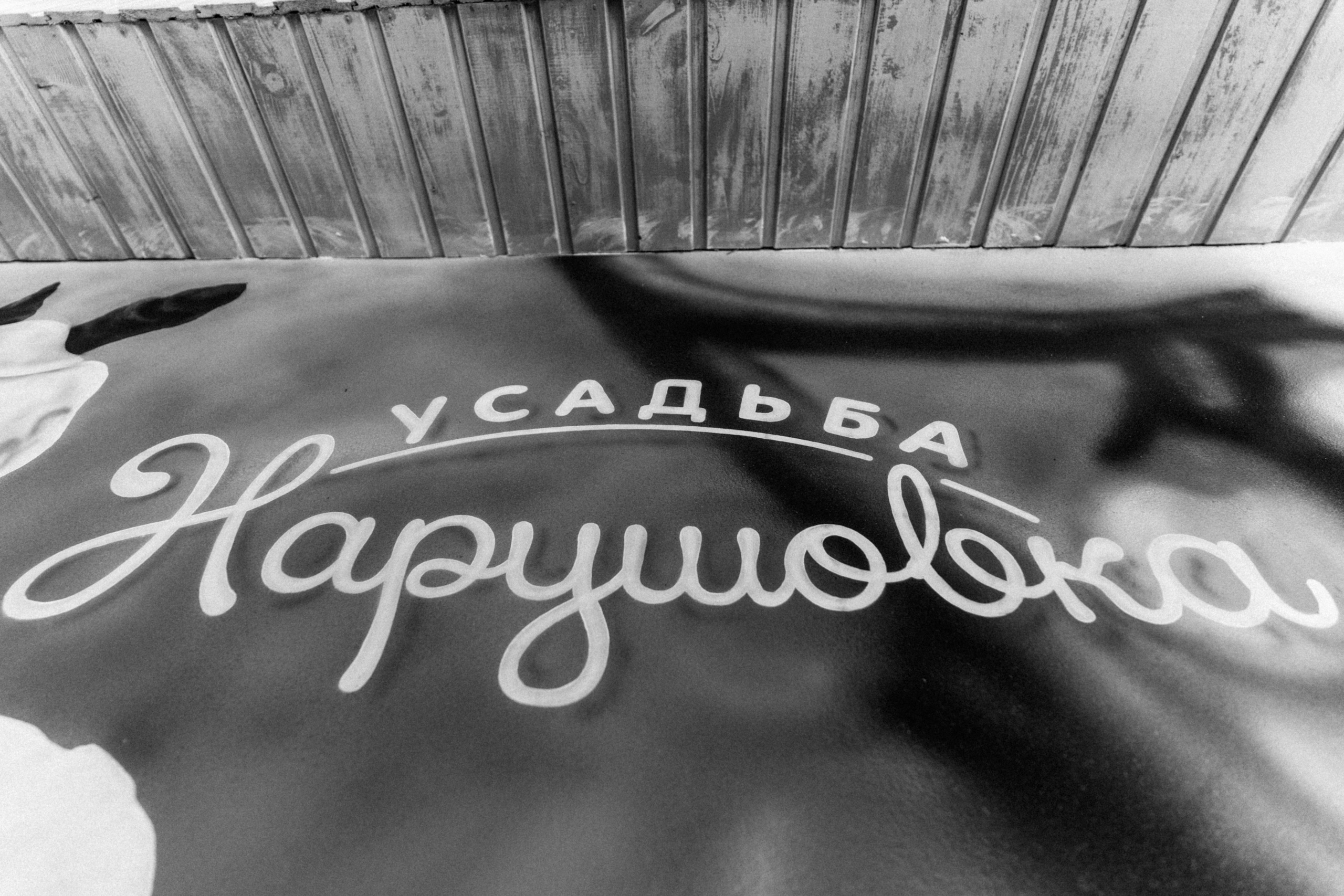 Виталик и Милана. Фотограф Новополоцк, Полоцк, Минск, РБ, Зимаков Егор