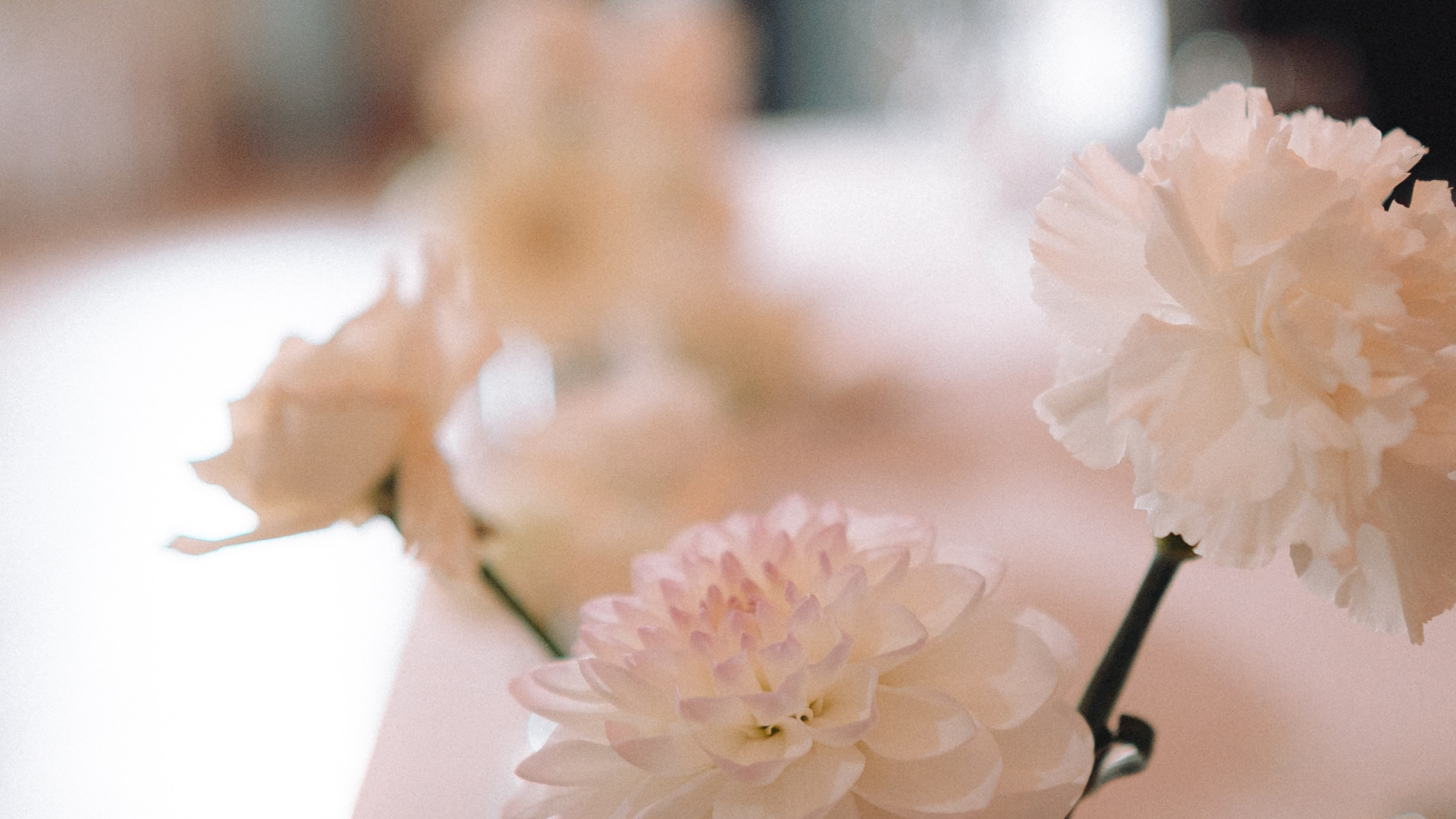 Sakina|Roman. Свадебный фотограф Санкт-Петербург DanyaPhotoart