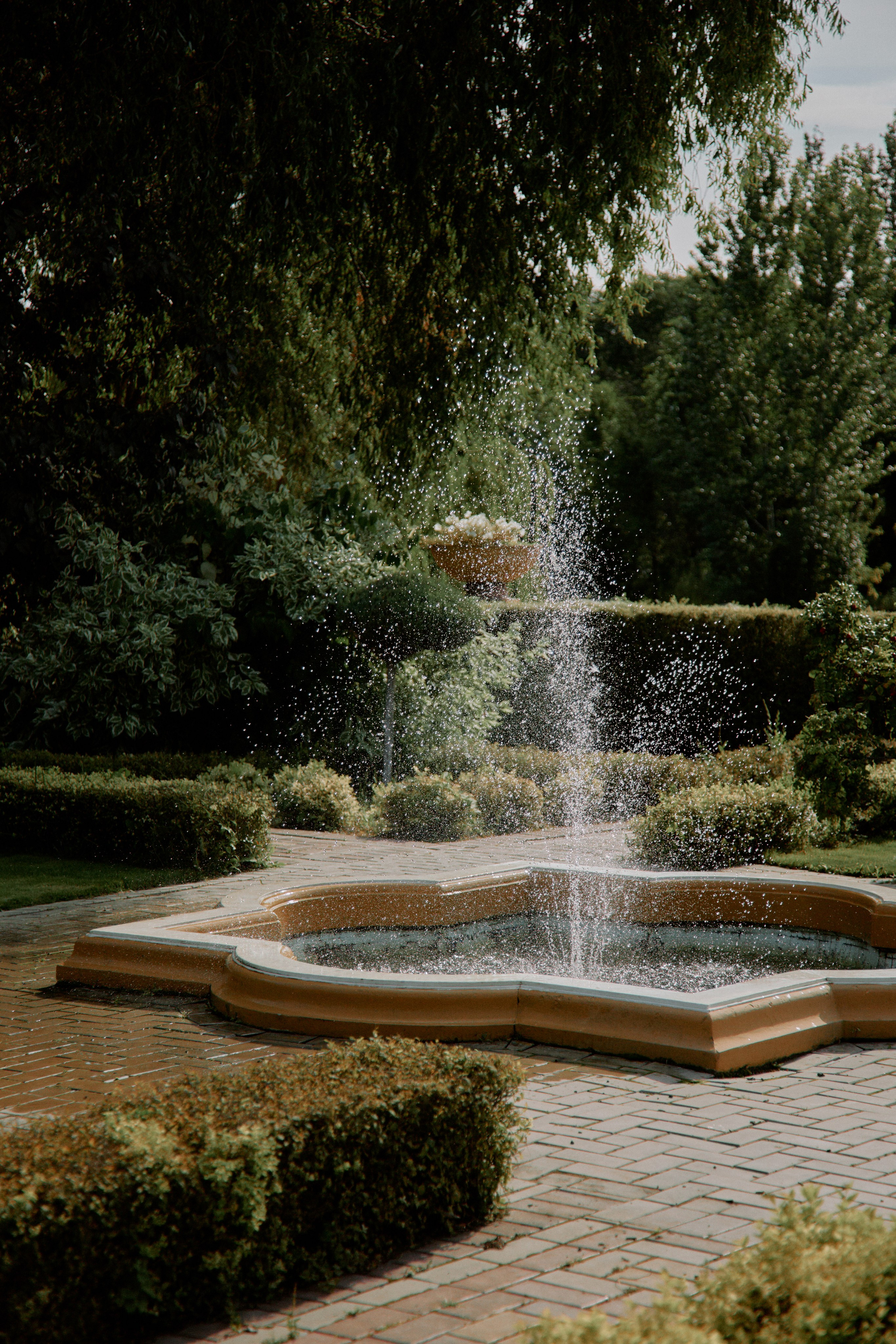 На цыпочках. Фотограф Елена Краснопевцева