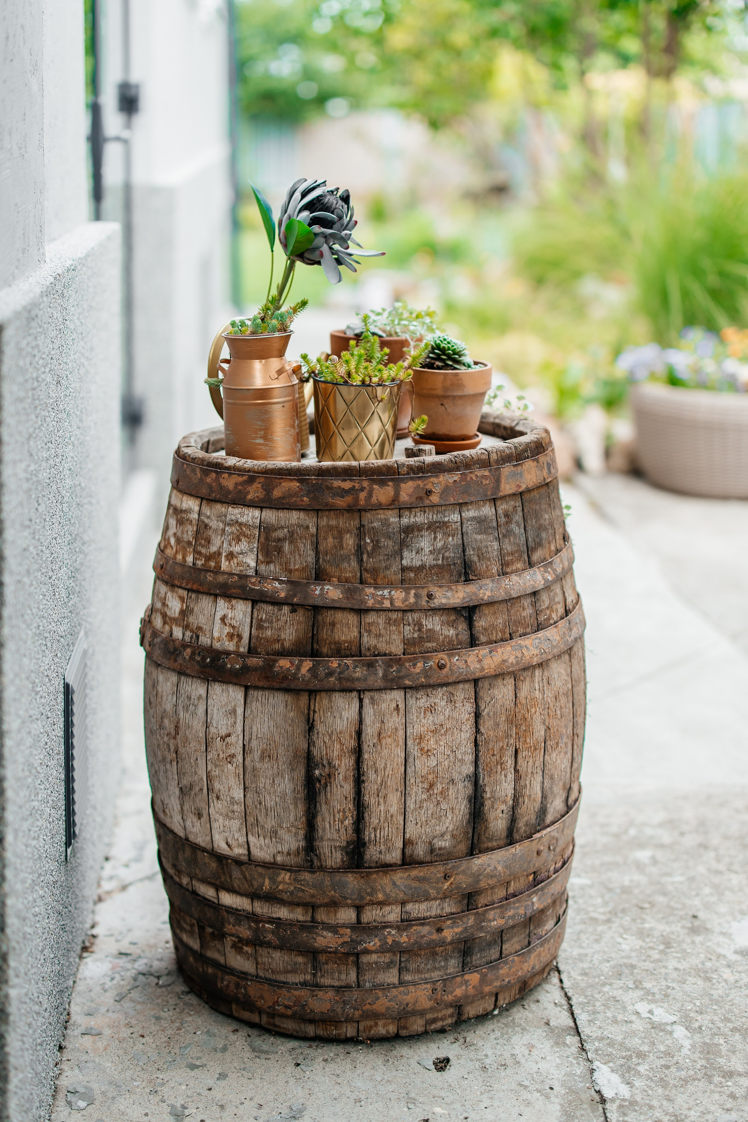 Freedom House. Самый свадебный фотограф