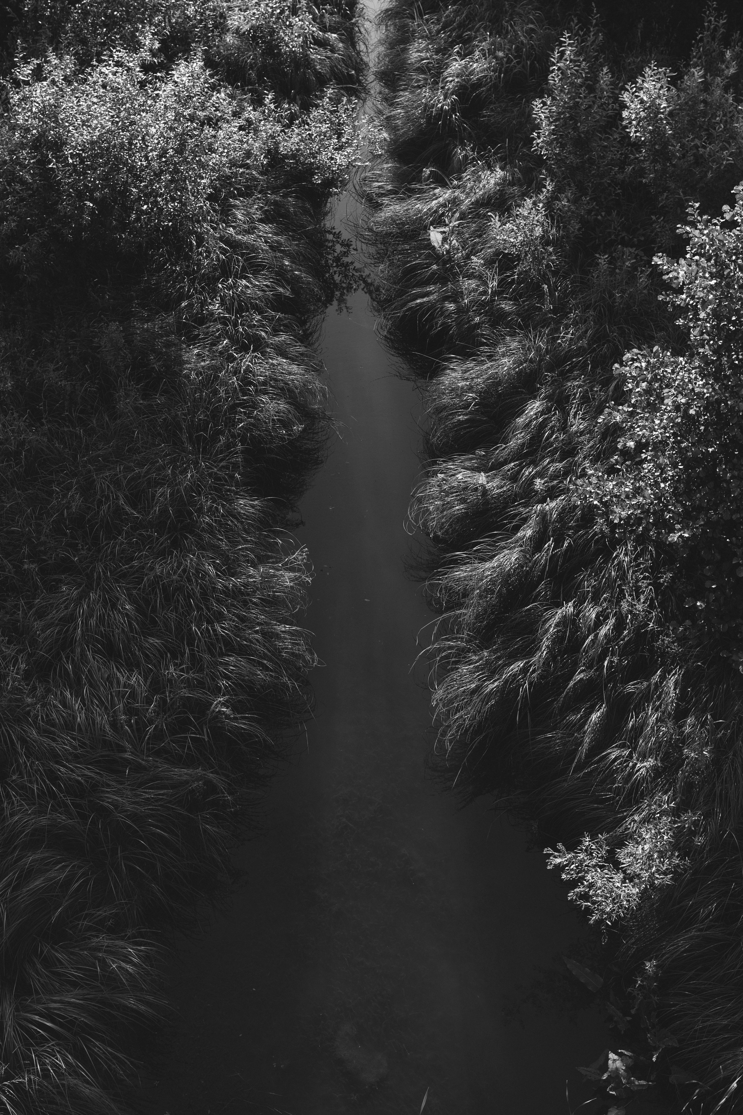 ДУША. Семейный и newborn фотограф в Уфе Елена Сакурова