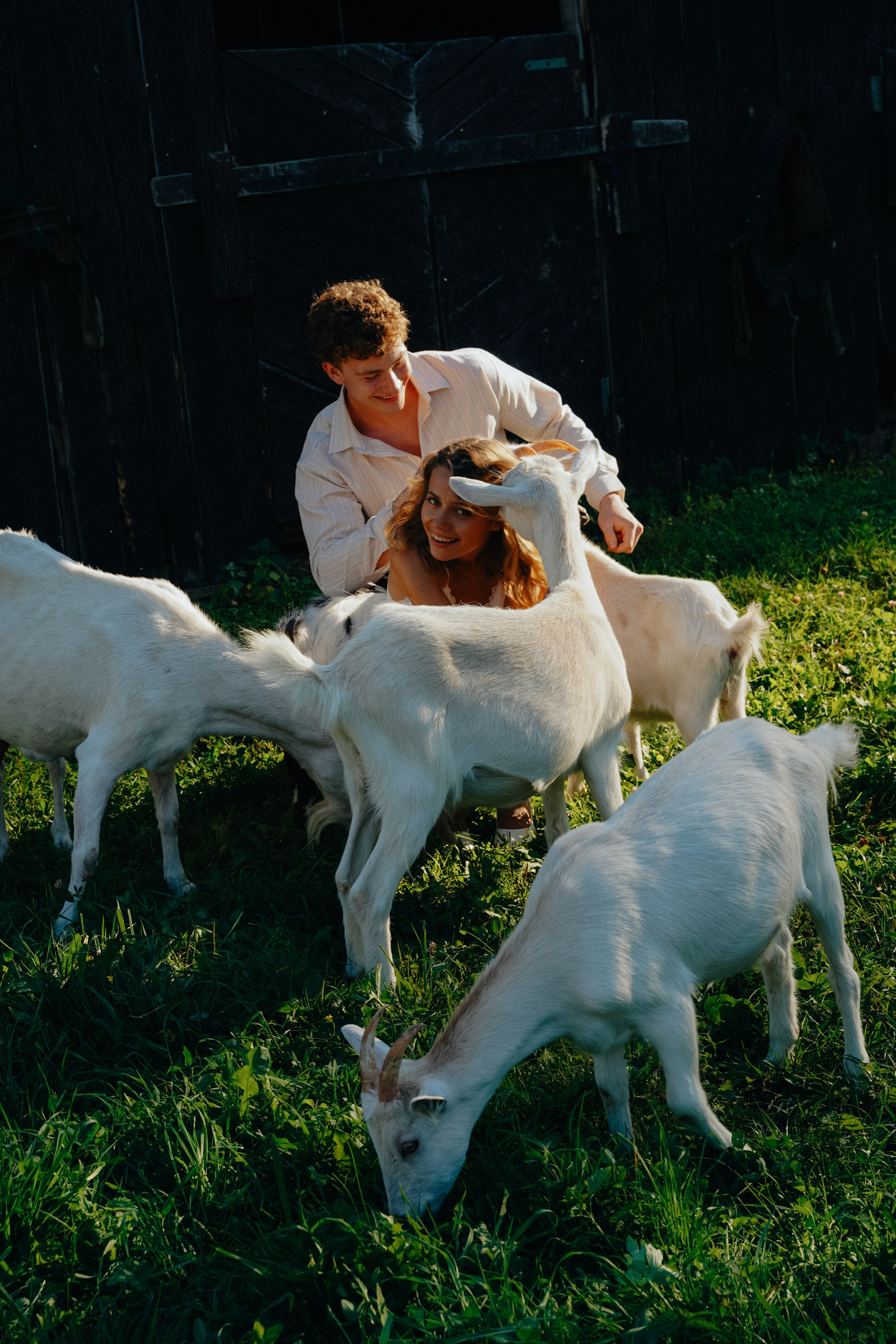 Свадьба на ферме