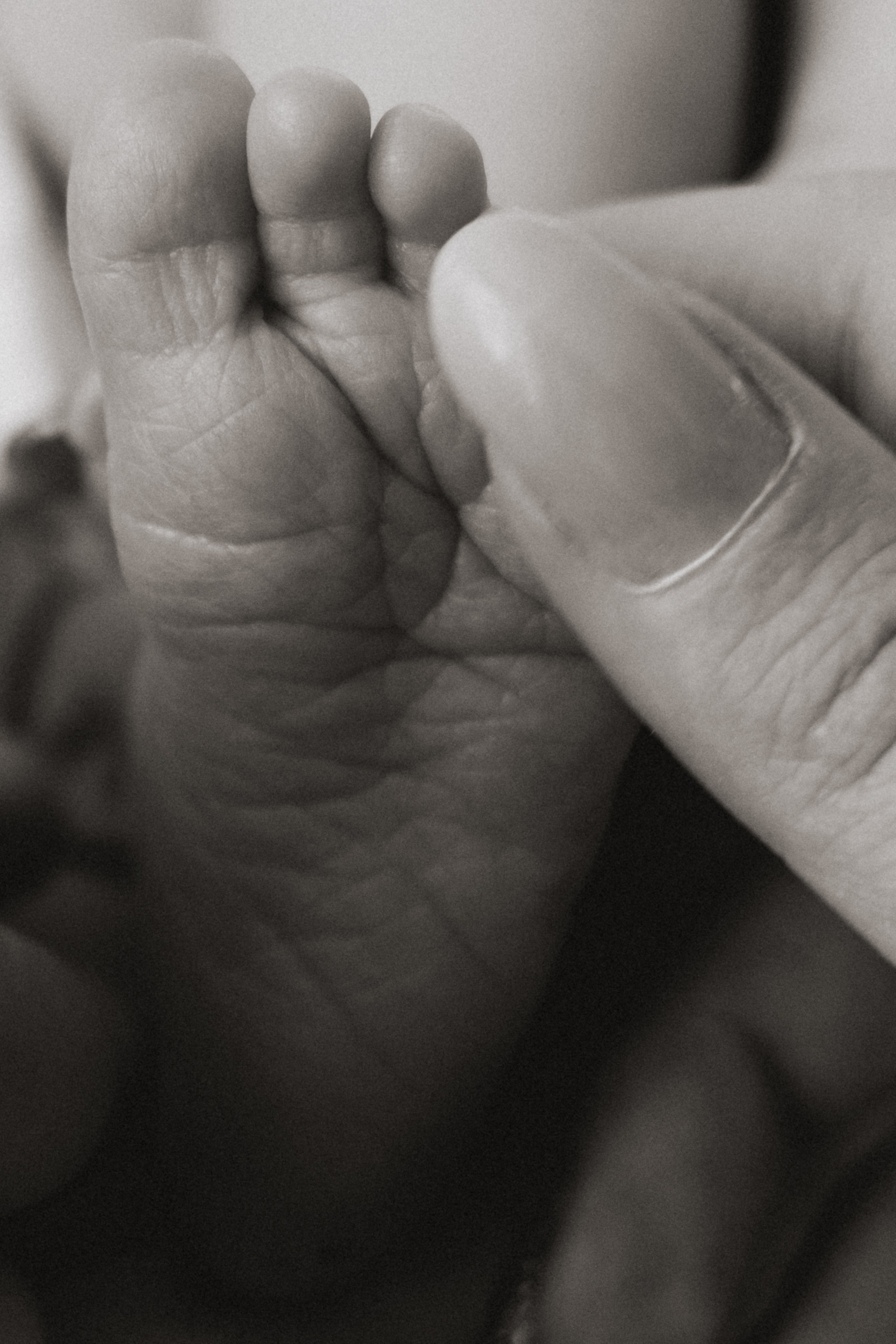 Выписка Мии + Нью Борн. Свадебный и семейный фотограф в Краснодаре Диана Смирнова