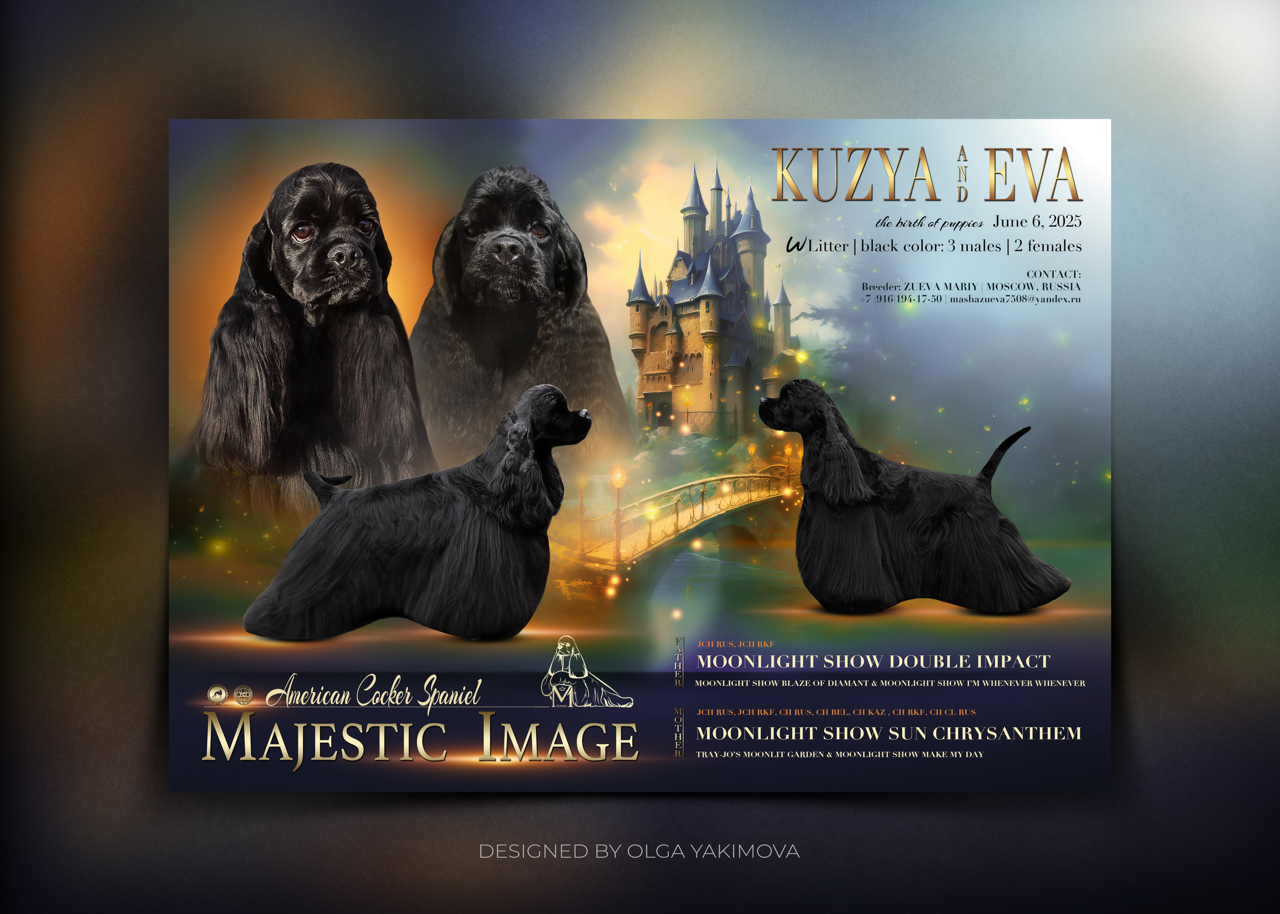 Animal presentation. Фотограф