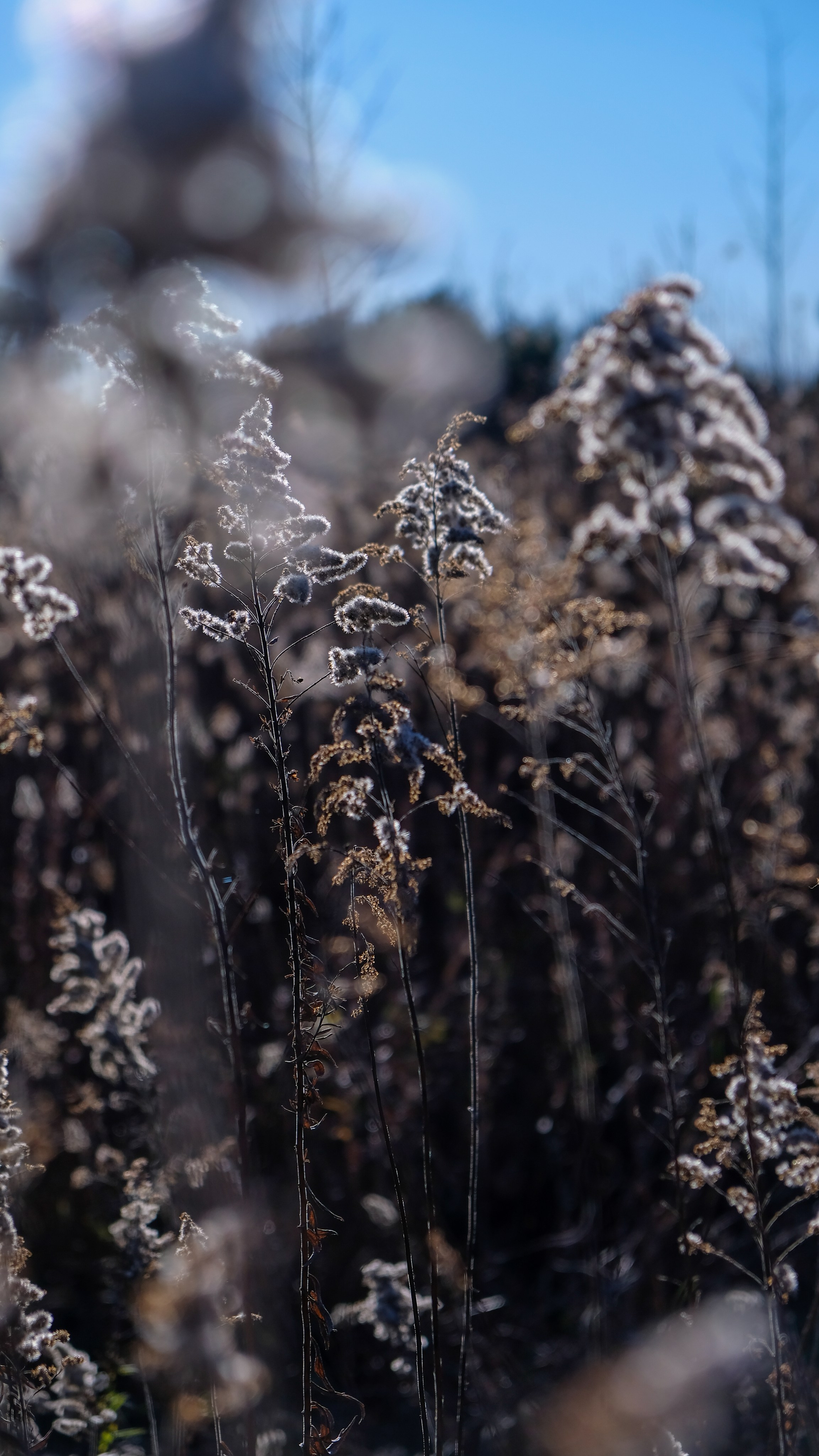 Пицунда. Главная