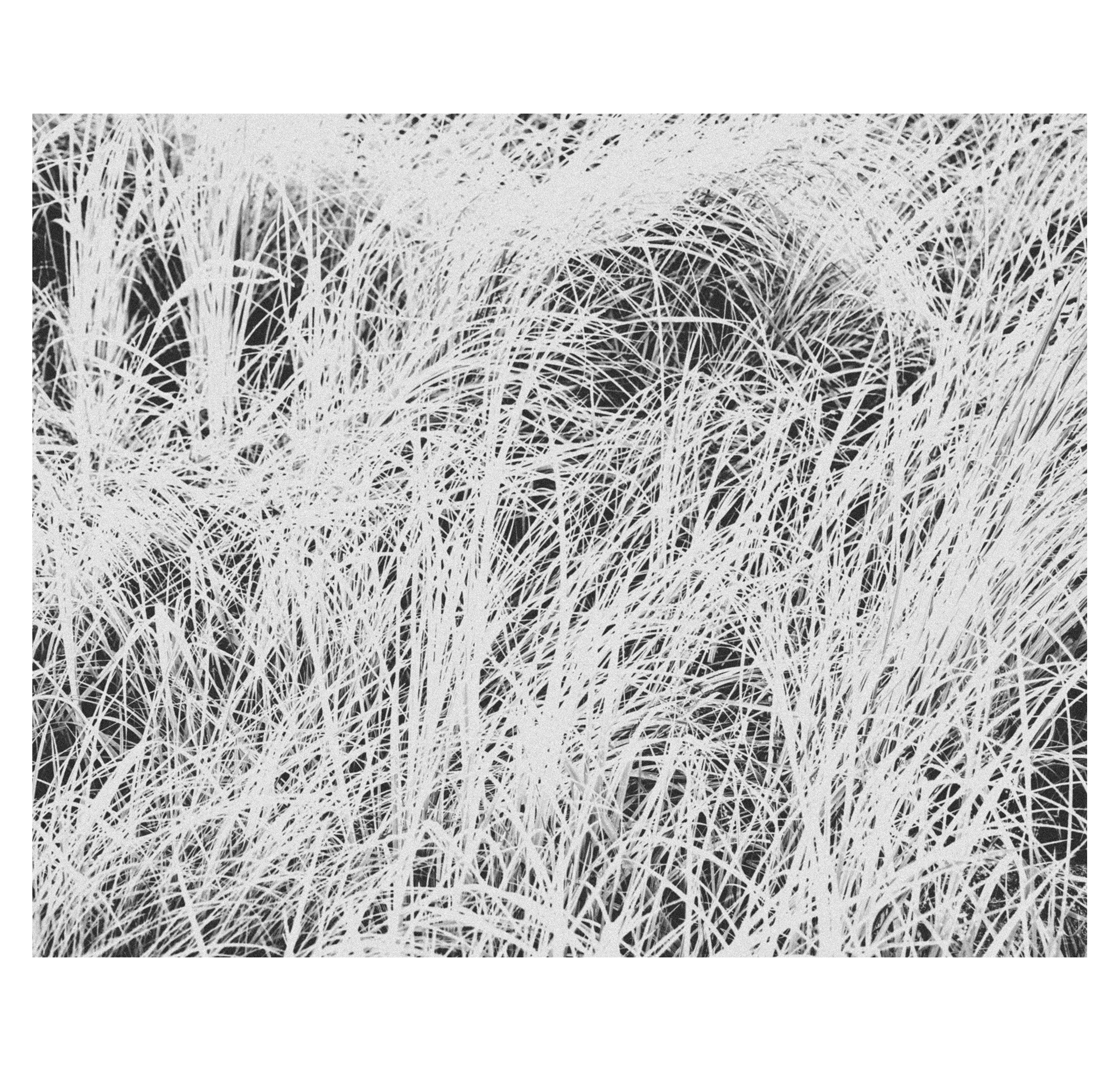 MOSCOW TAPE. Фотограф/дизайнер в Екатеринбурге Хитрый Дмитрий