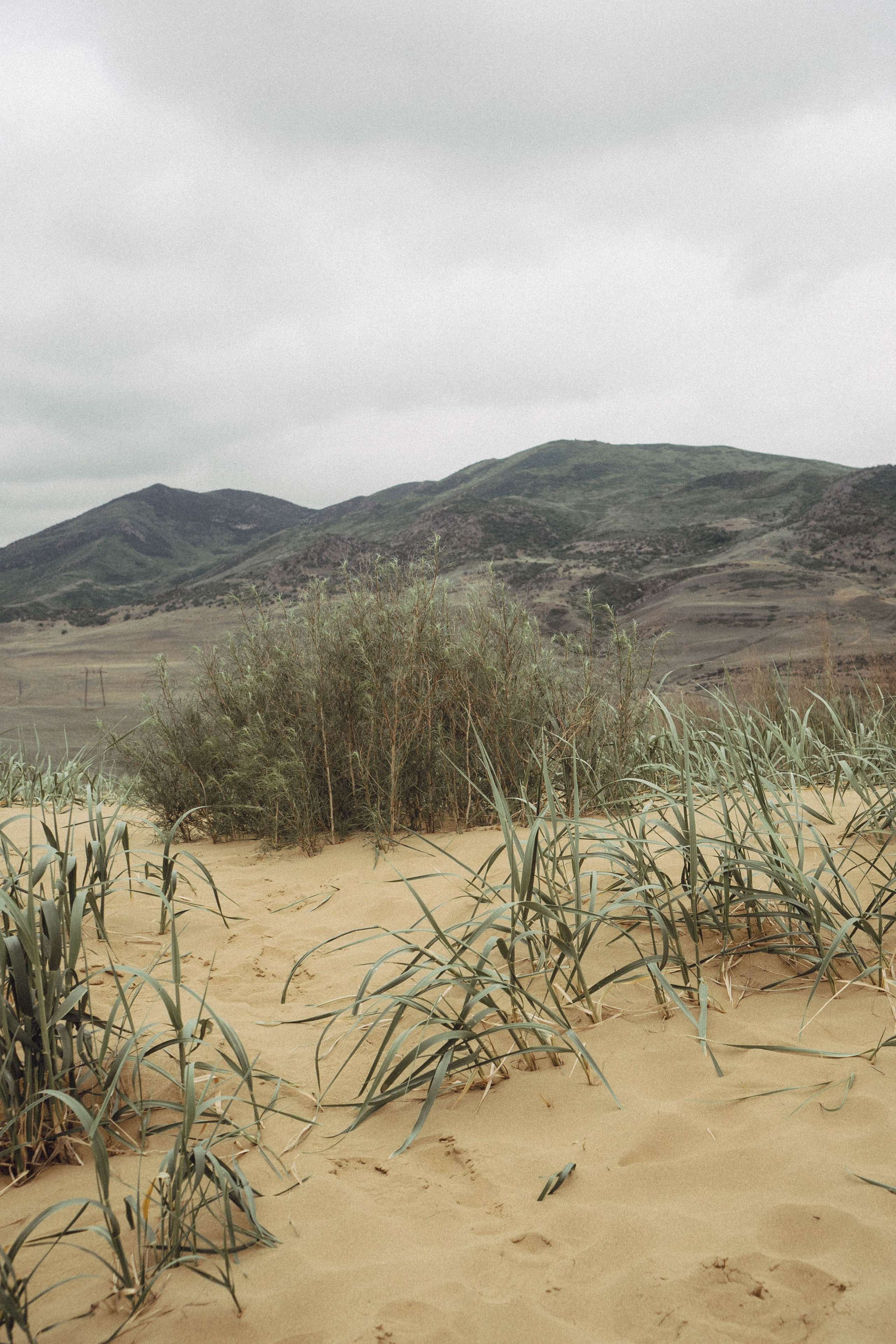Кавказ. Профессиональный фотограф, Санкт-Петербург — Виктория Богомолова