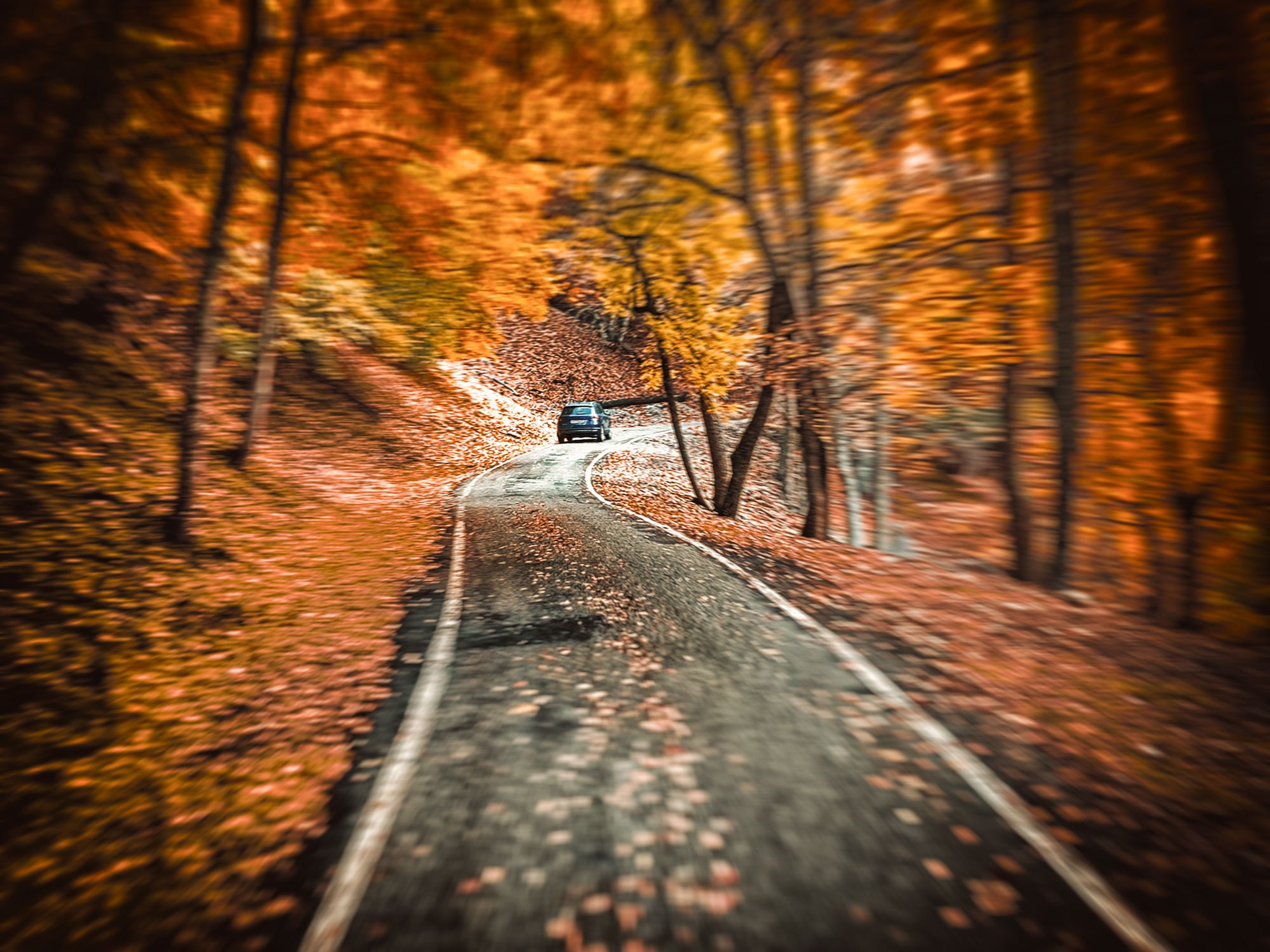 «Золотая осень в Крыму 2025»