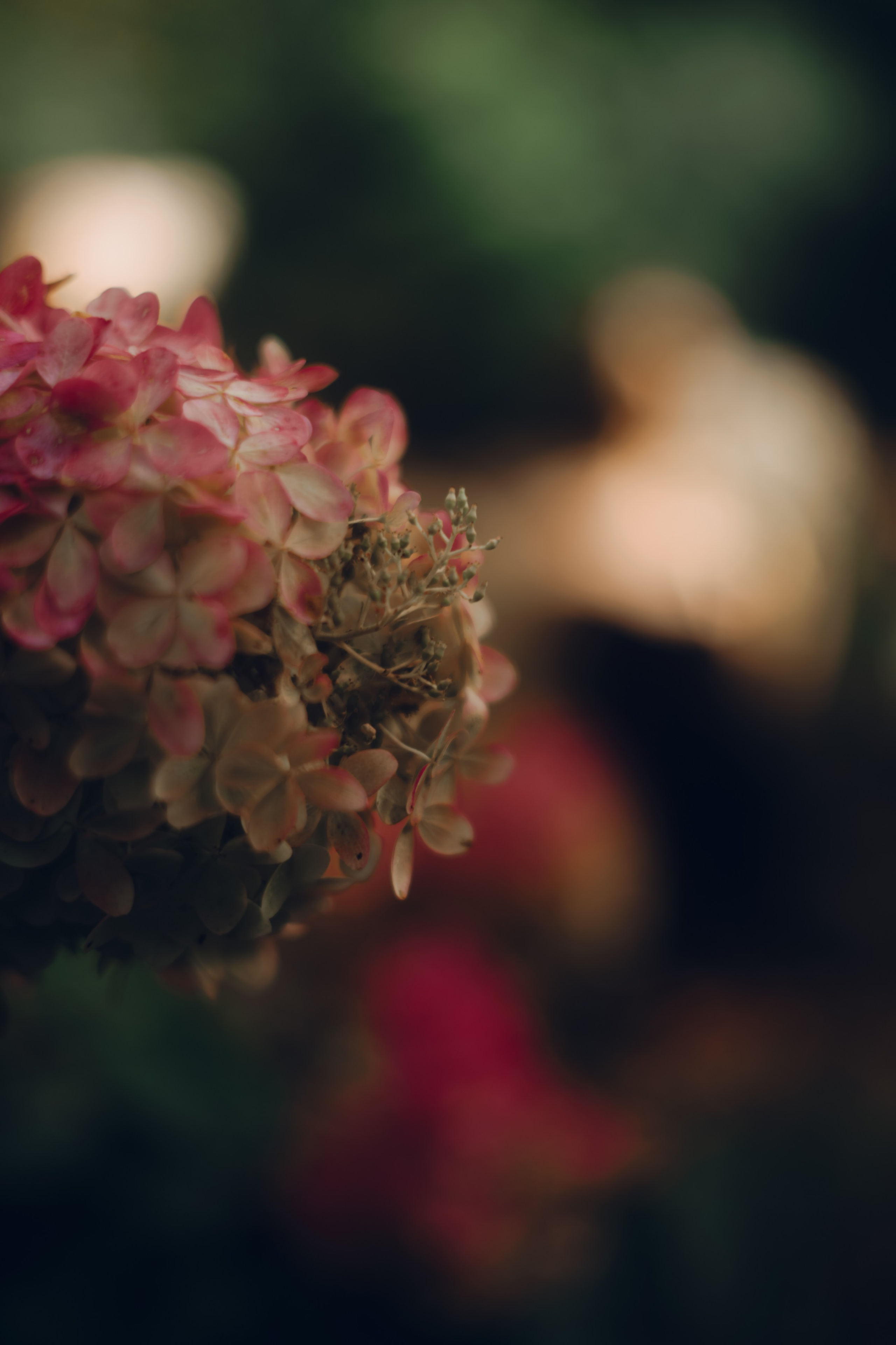 Botanical. Портретный и свадебный фотограф в Москве и Санкт-Петербурге. Учитель фотографии онлайн и оффлайн