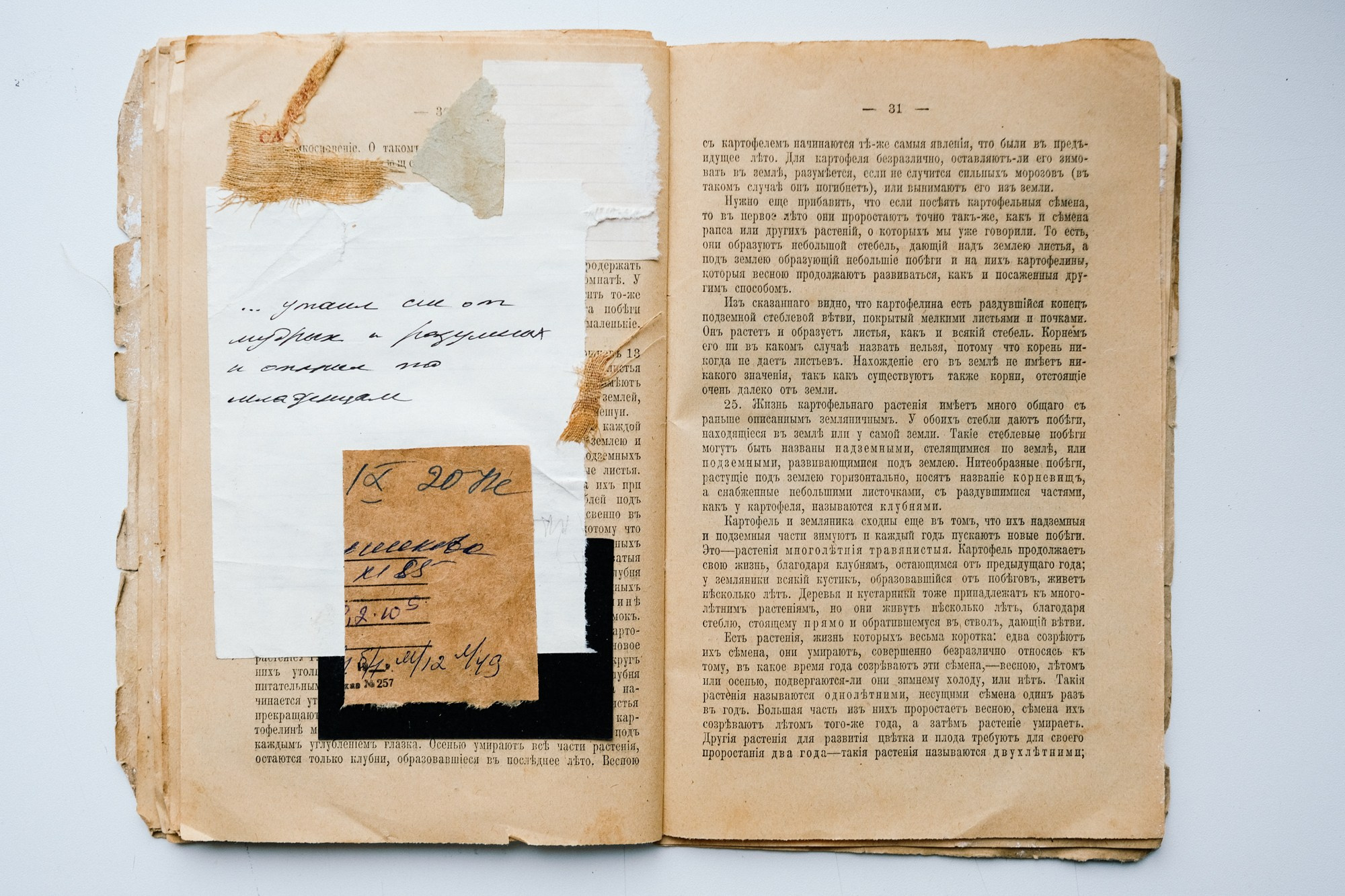 Familia Genus Exsiccata. Художница Юлия Павлова