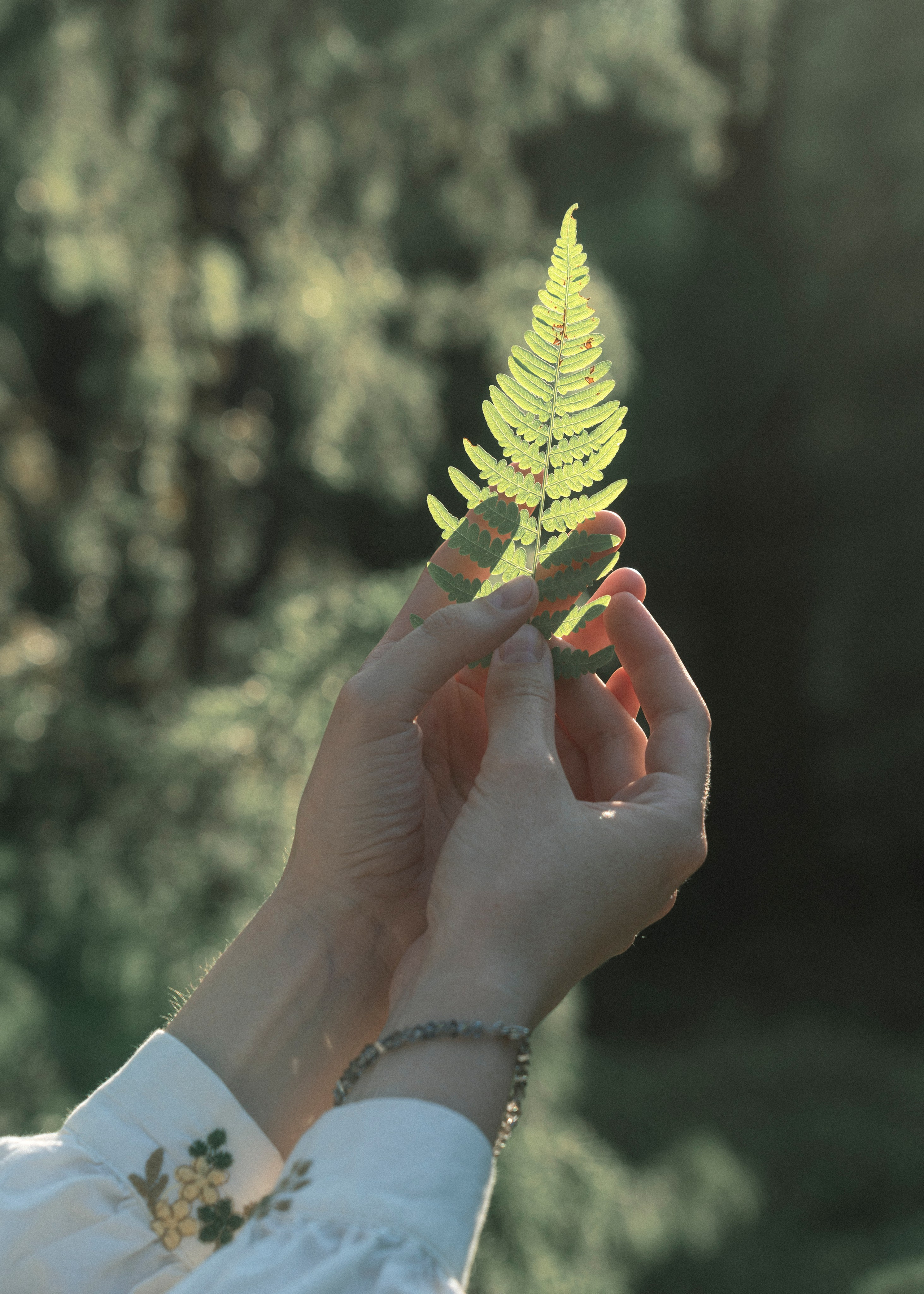 Съемка на природе. Фотограф в Санкт-Петербурге Лена Малинина