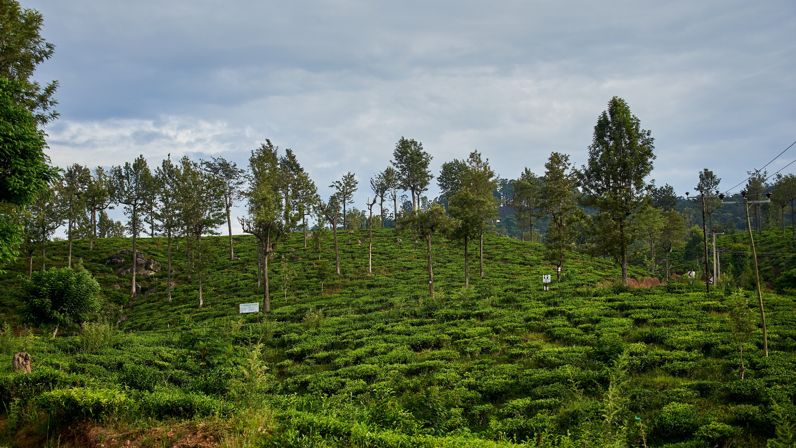 Moto Trip 23-05-19. Никита Хохловский фото и видео продакшн