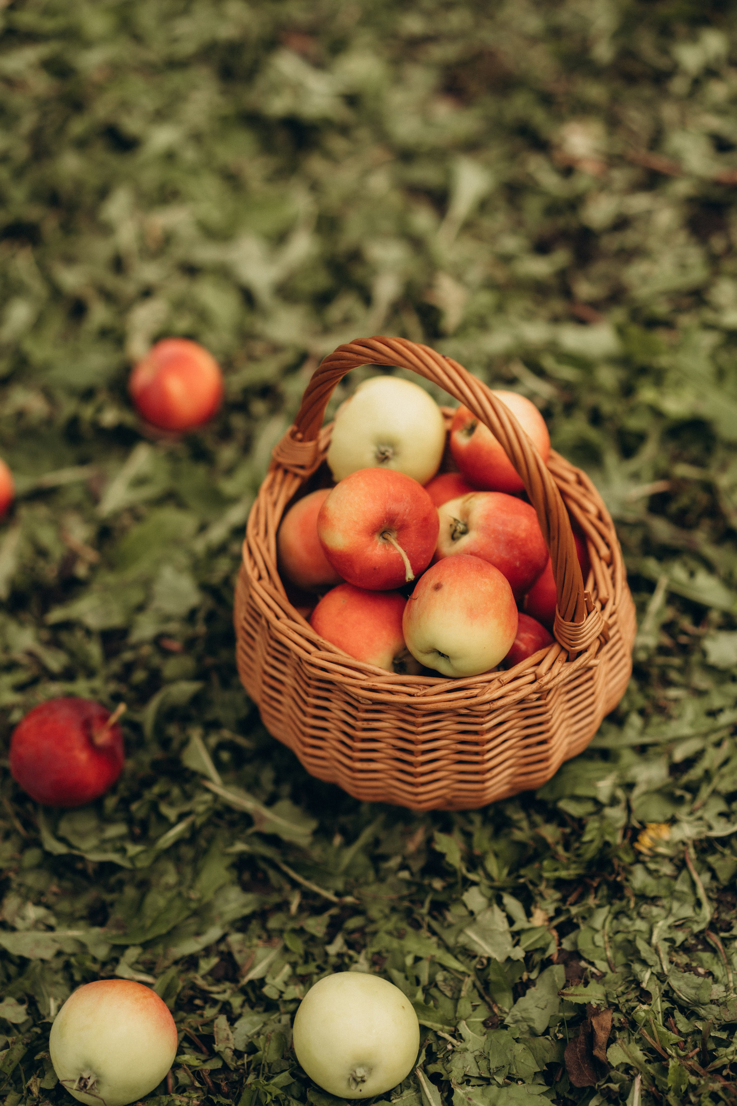 Удачные дела. Семейный фотограф в Ангарске/ Иркутске