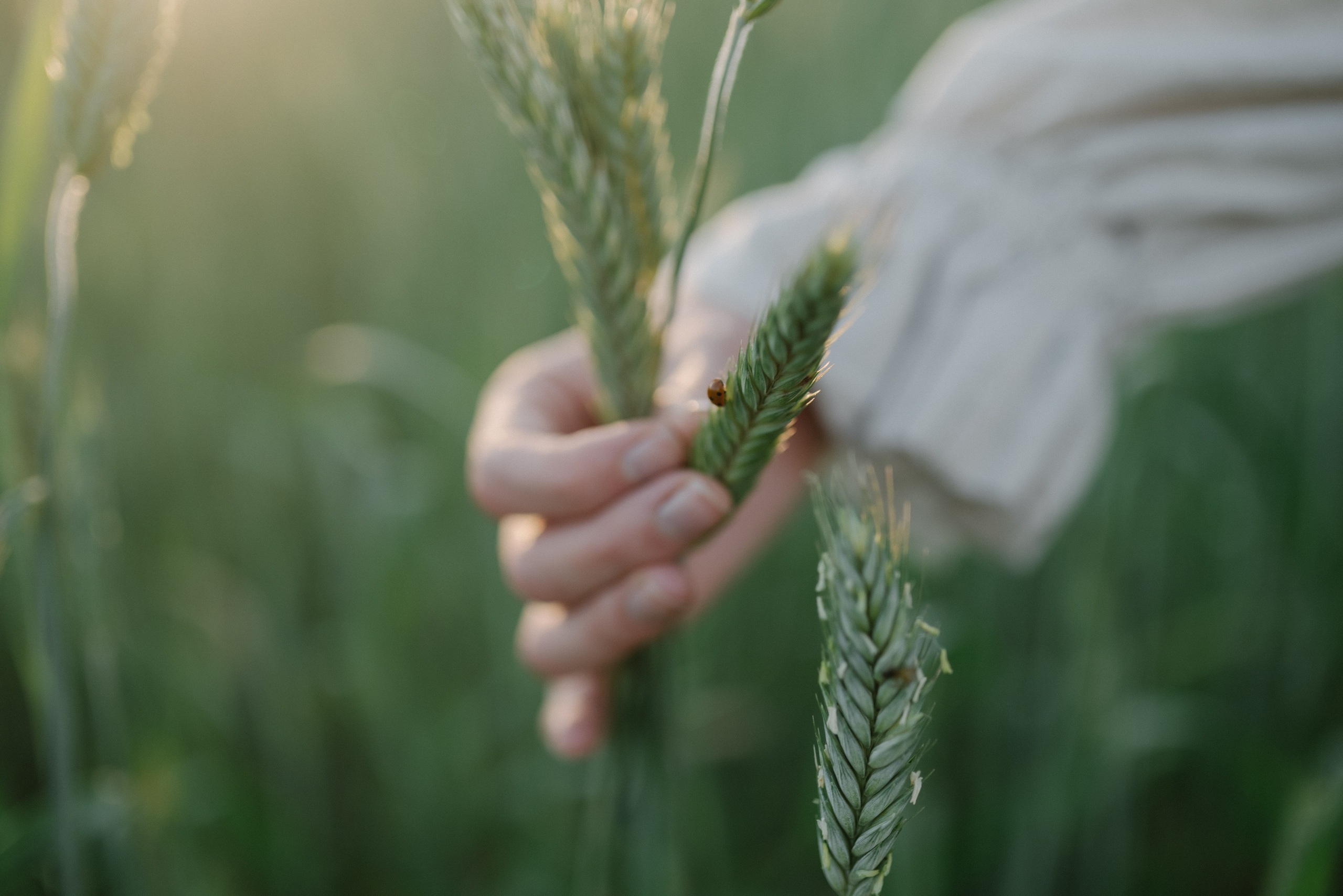 Ксюша. Фотограф Анна Абрикосова