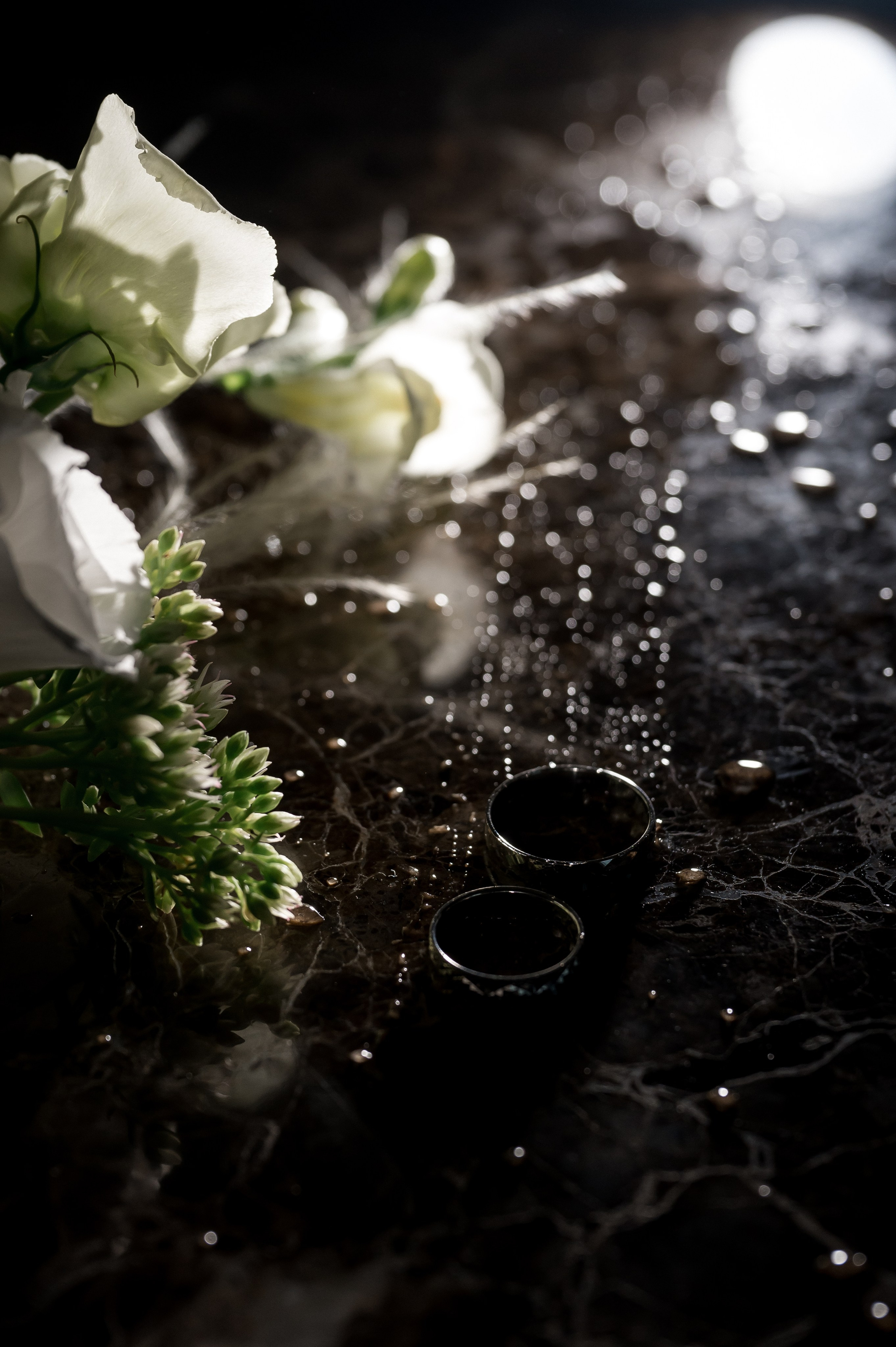 Свадебные съемки (портфолио). Свадебный фотограф в Новосибирске. Александра Верхушина