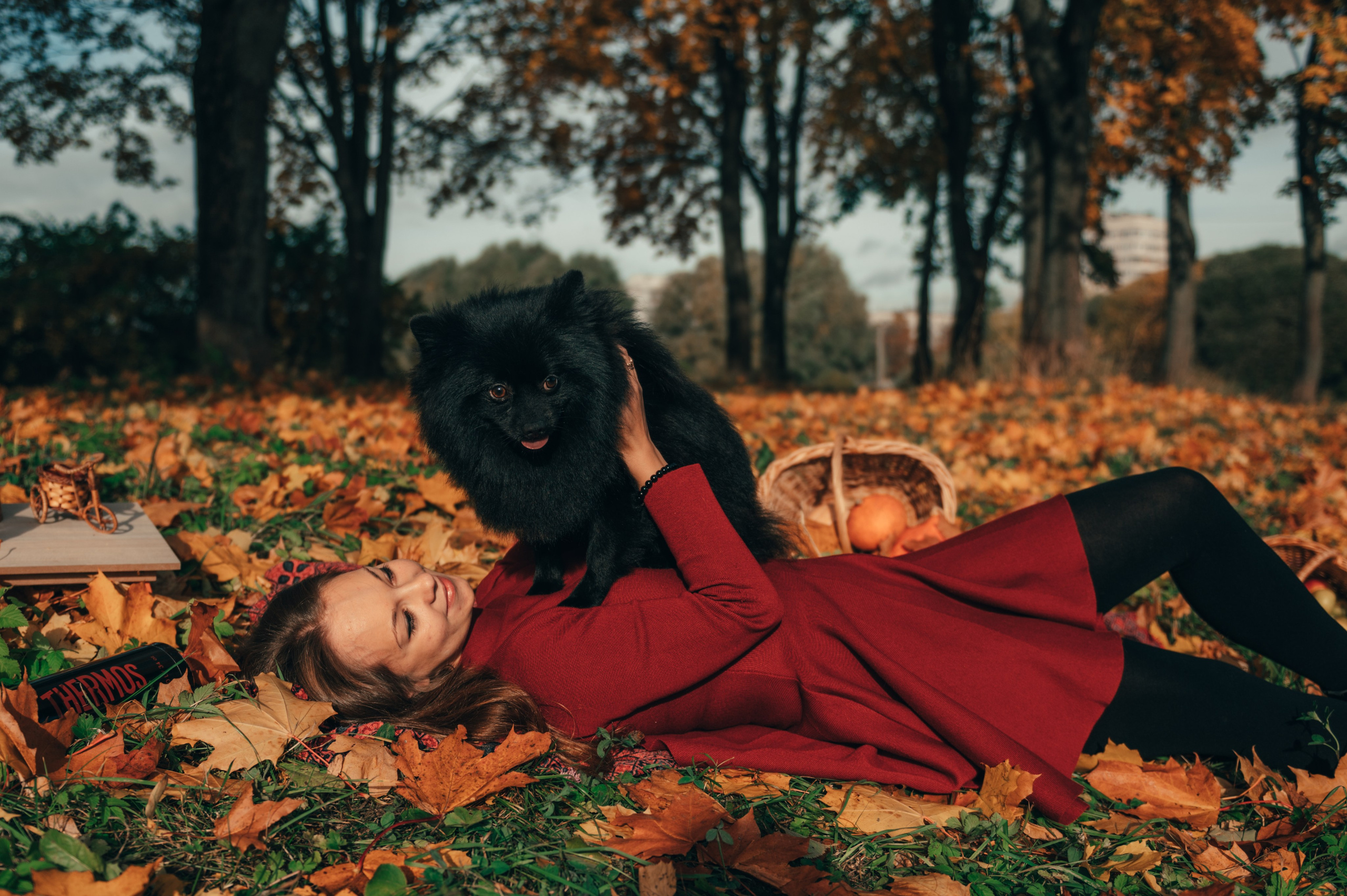 Дождь из листьев. Свадебный и семейный фотограф София Невская