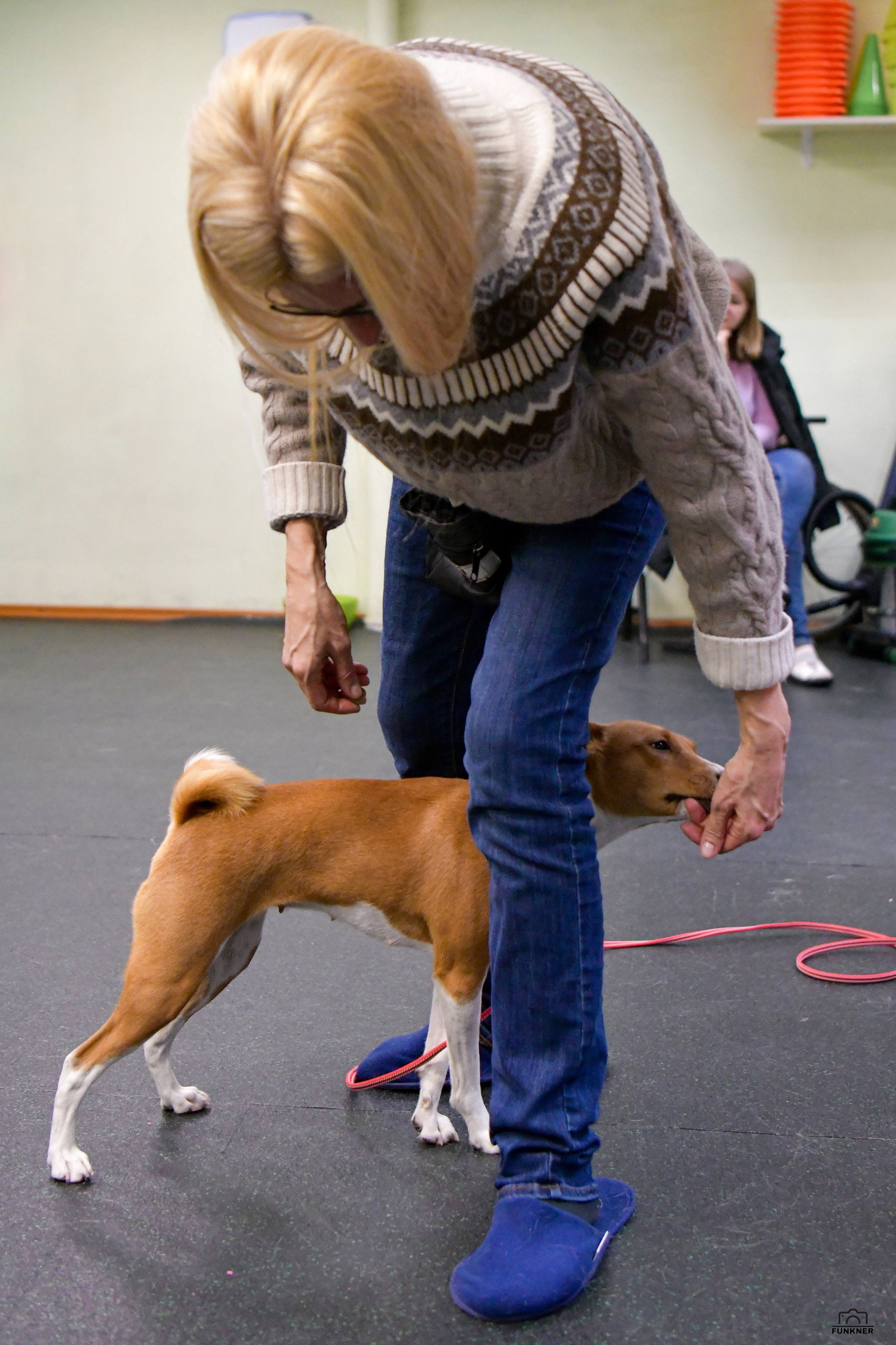 Кинологический клуб «Бодрый хвост». Свой взгляд через объектив