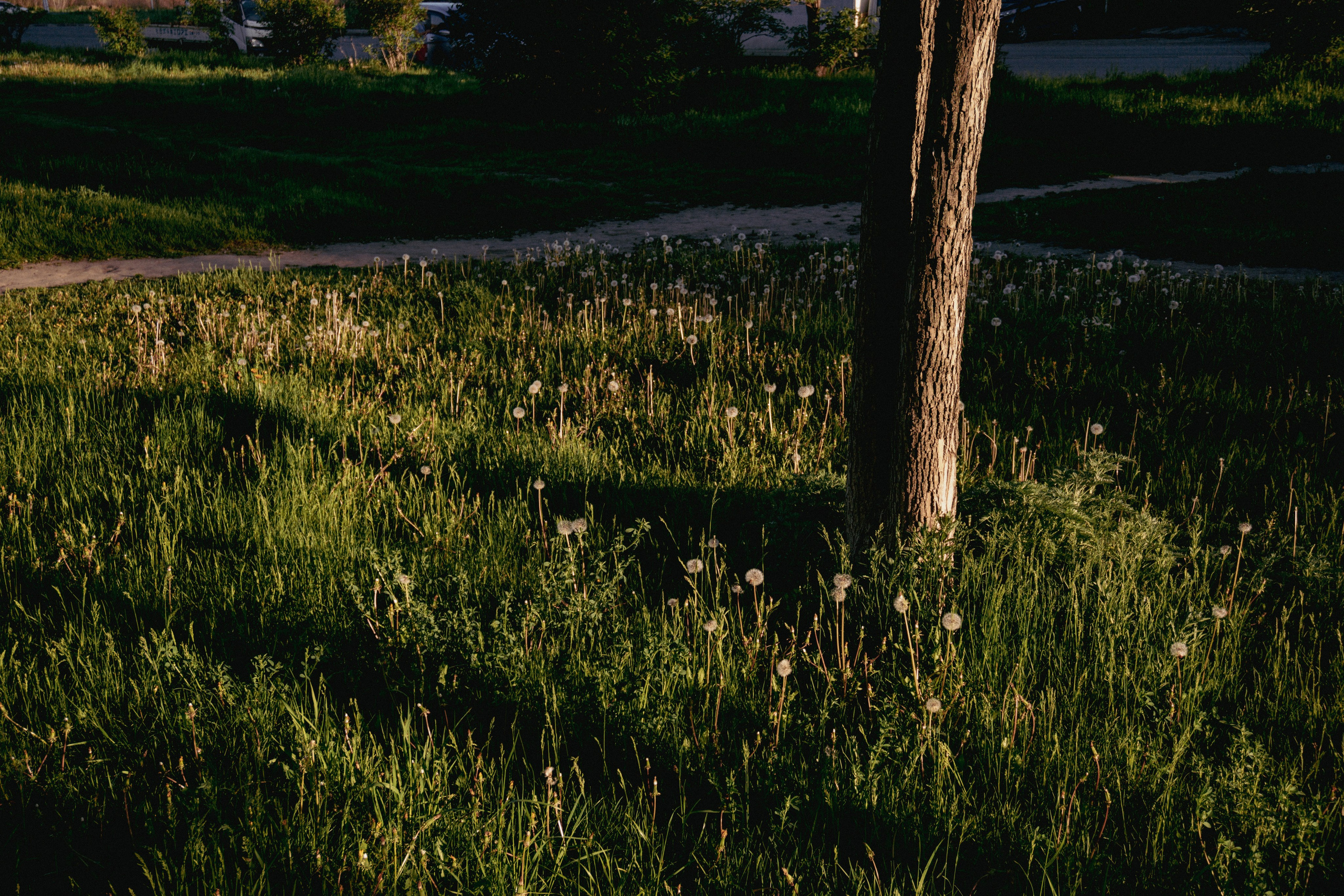04.06.2025 | Сосновоборск. Kuznetsov | Фотограф в Красноярске