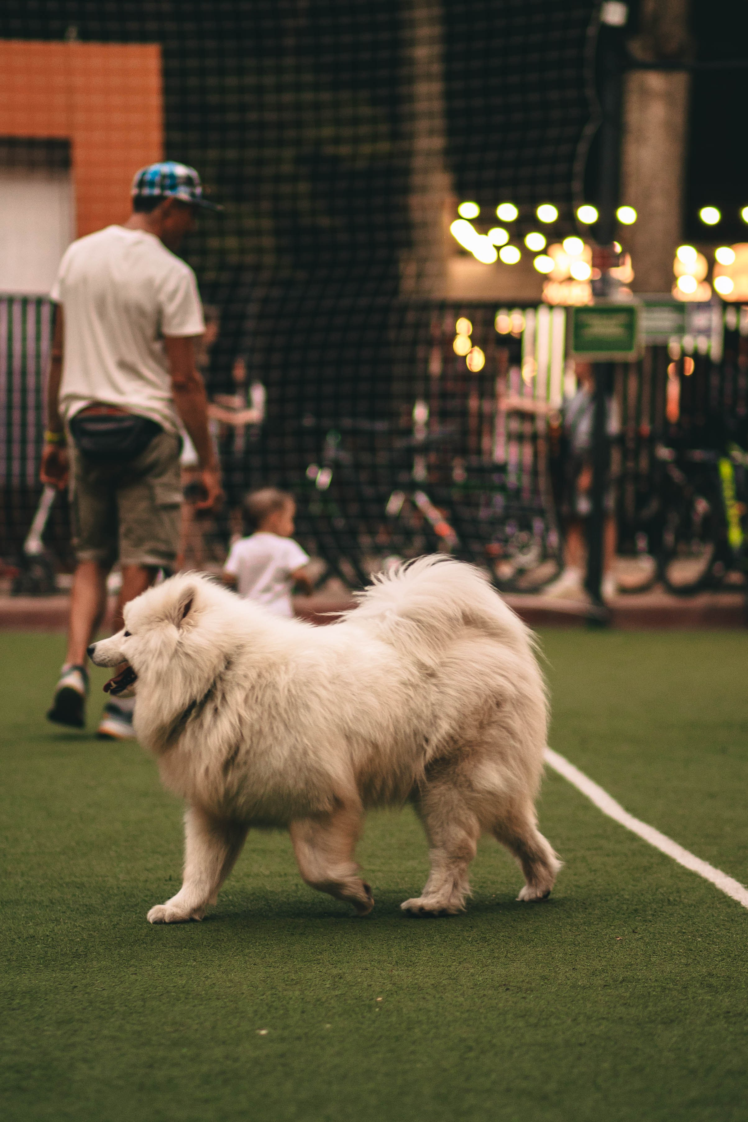 Pet-Party + Live-music |Парк Культуры. Фотограф в Ставрополе Алина Клочкова