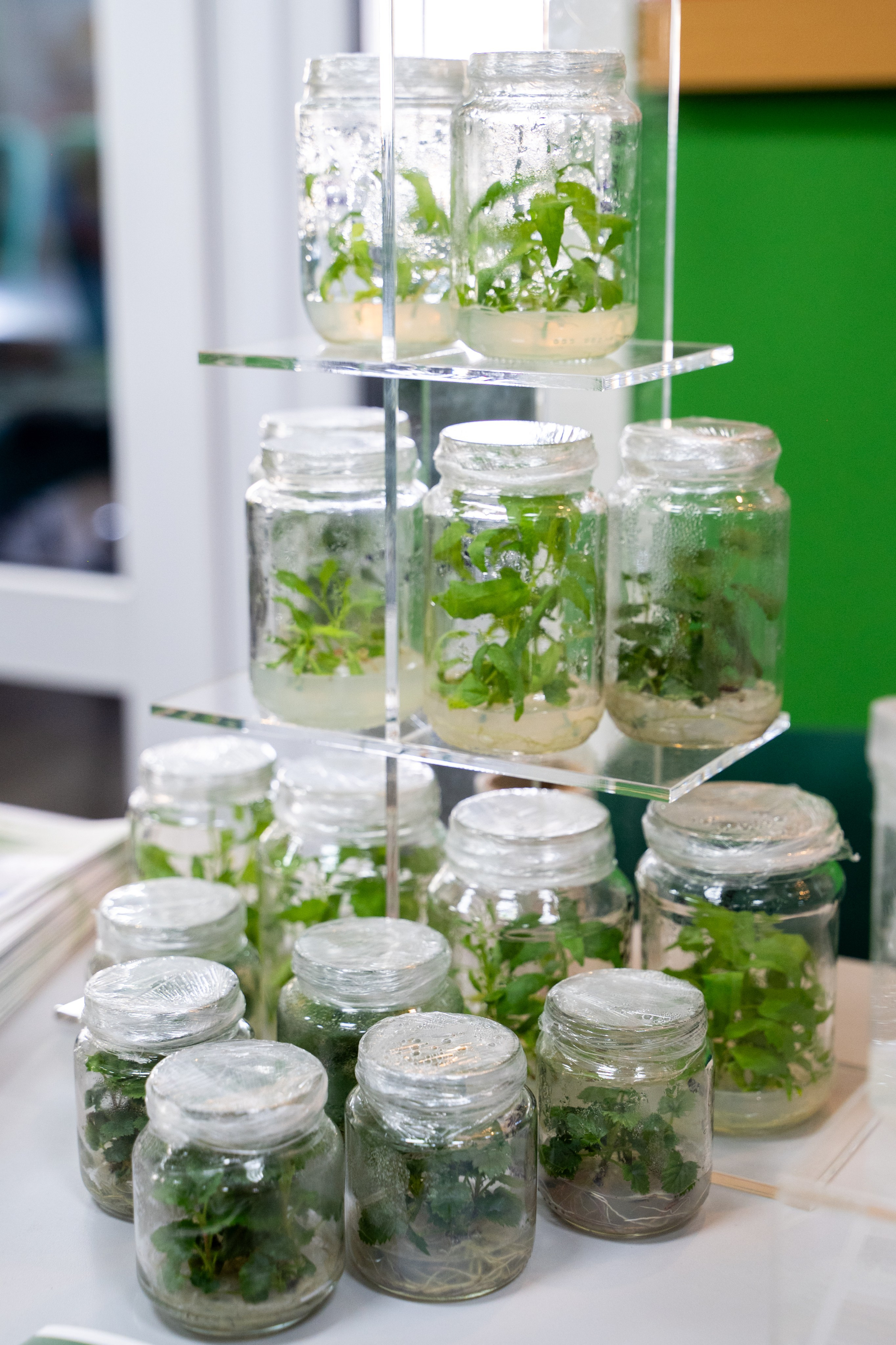 Международная конференция РАН