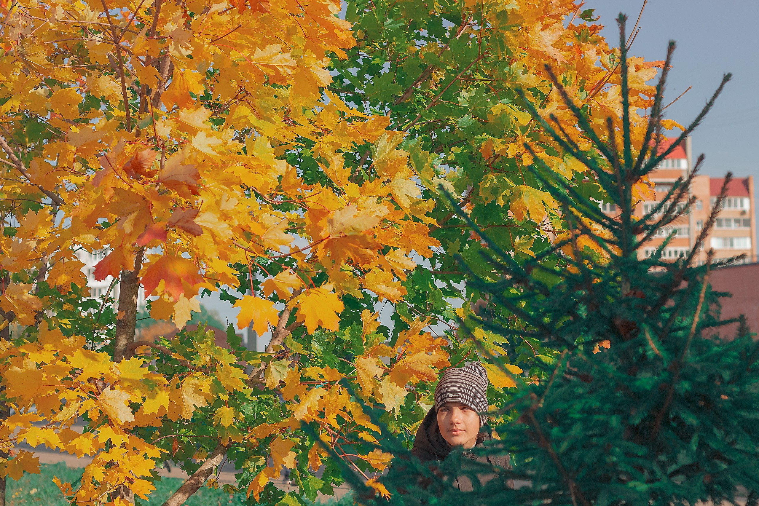 Свет и Цвет. Аmat Victoria Сuram