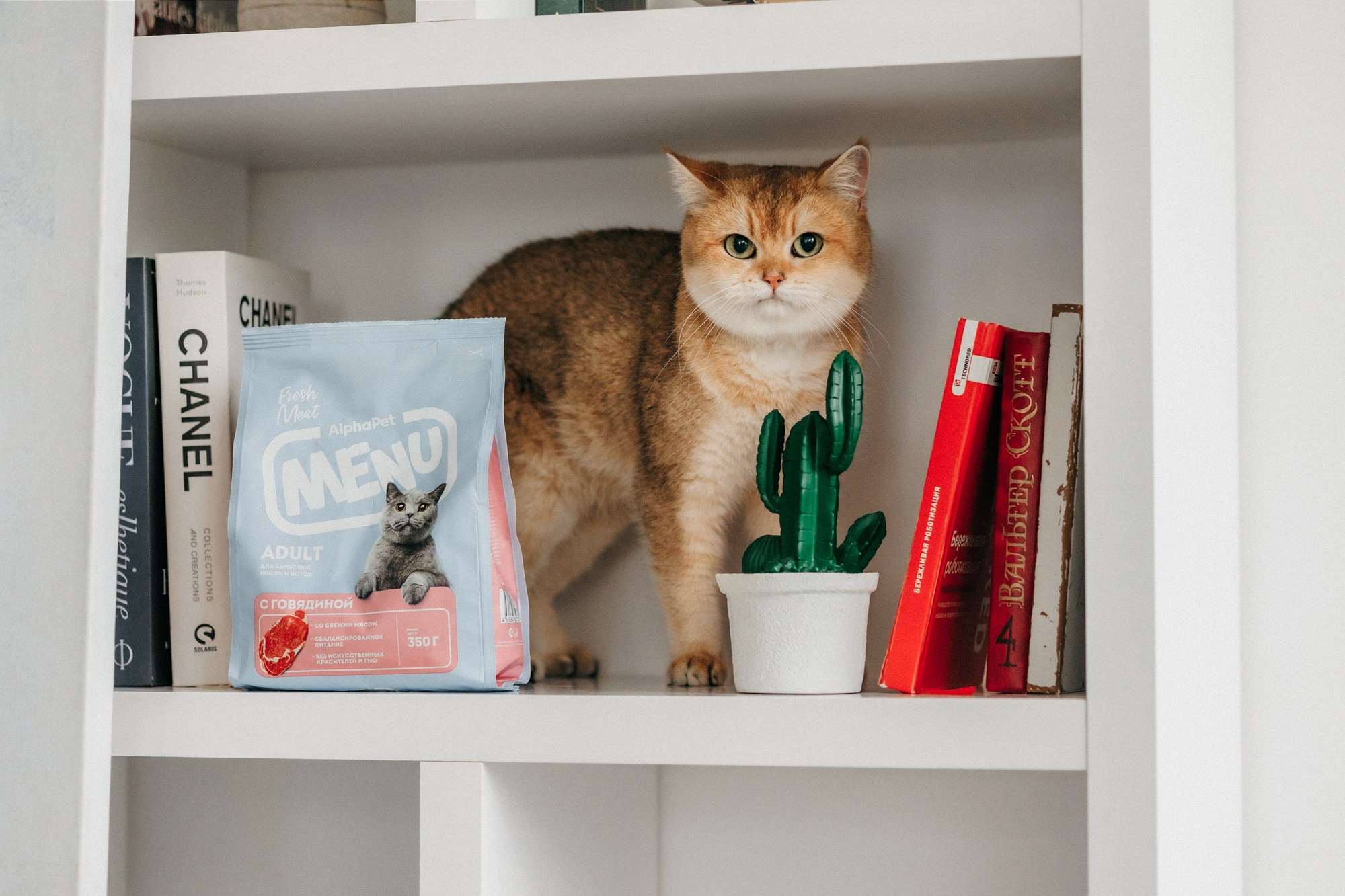 Корма Alpha Pet. Фотограф-анималист Елена Радченко, Москва