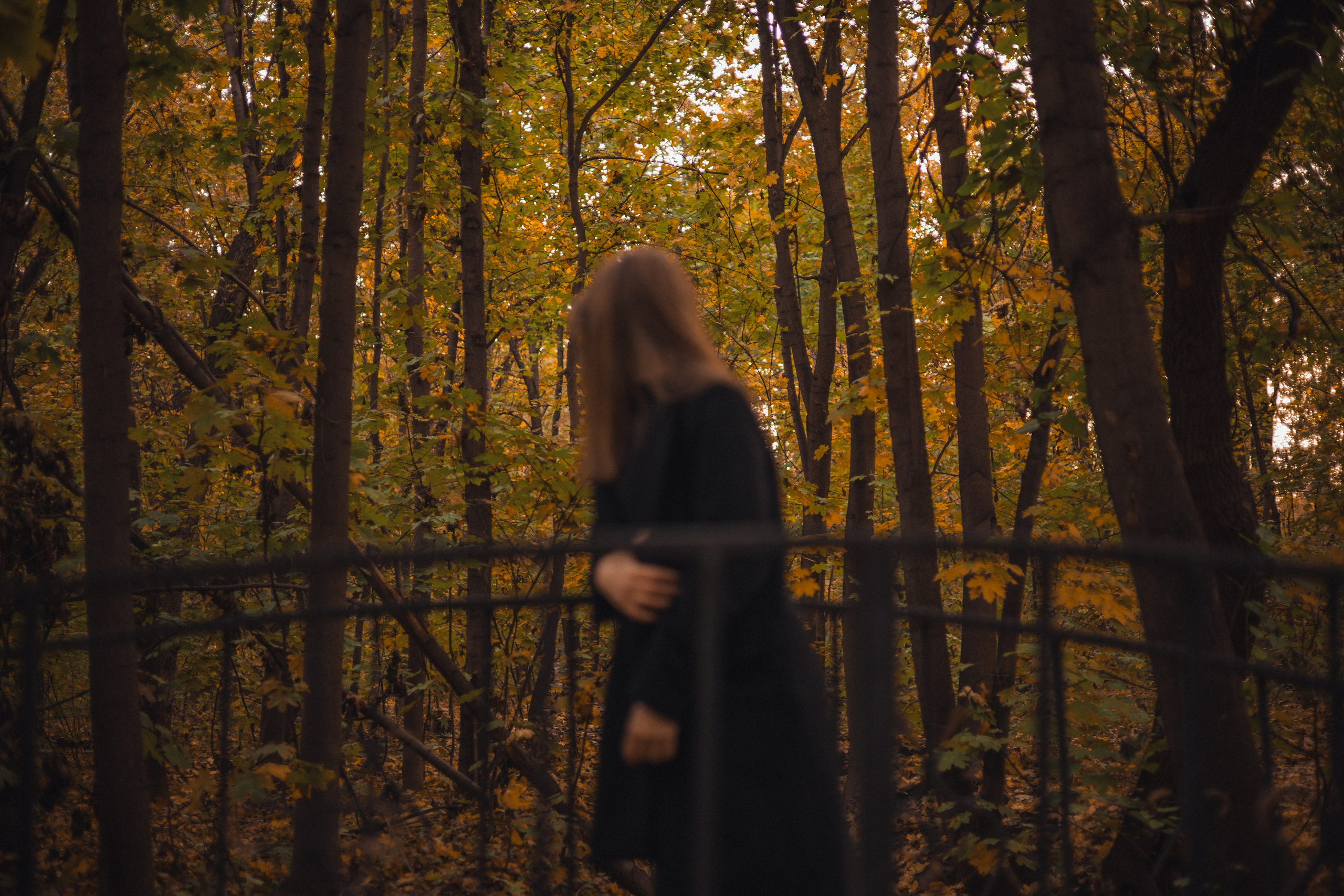 Oppressive atmosphere. Фотограф Бишкек