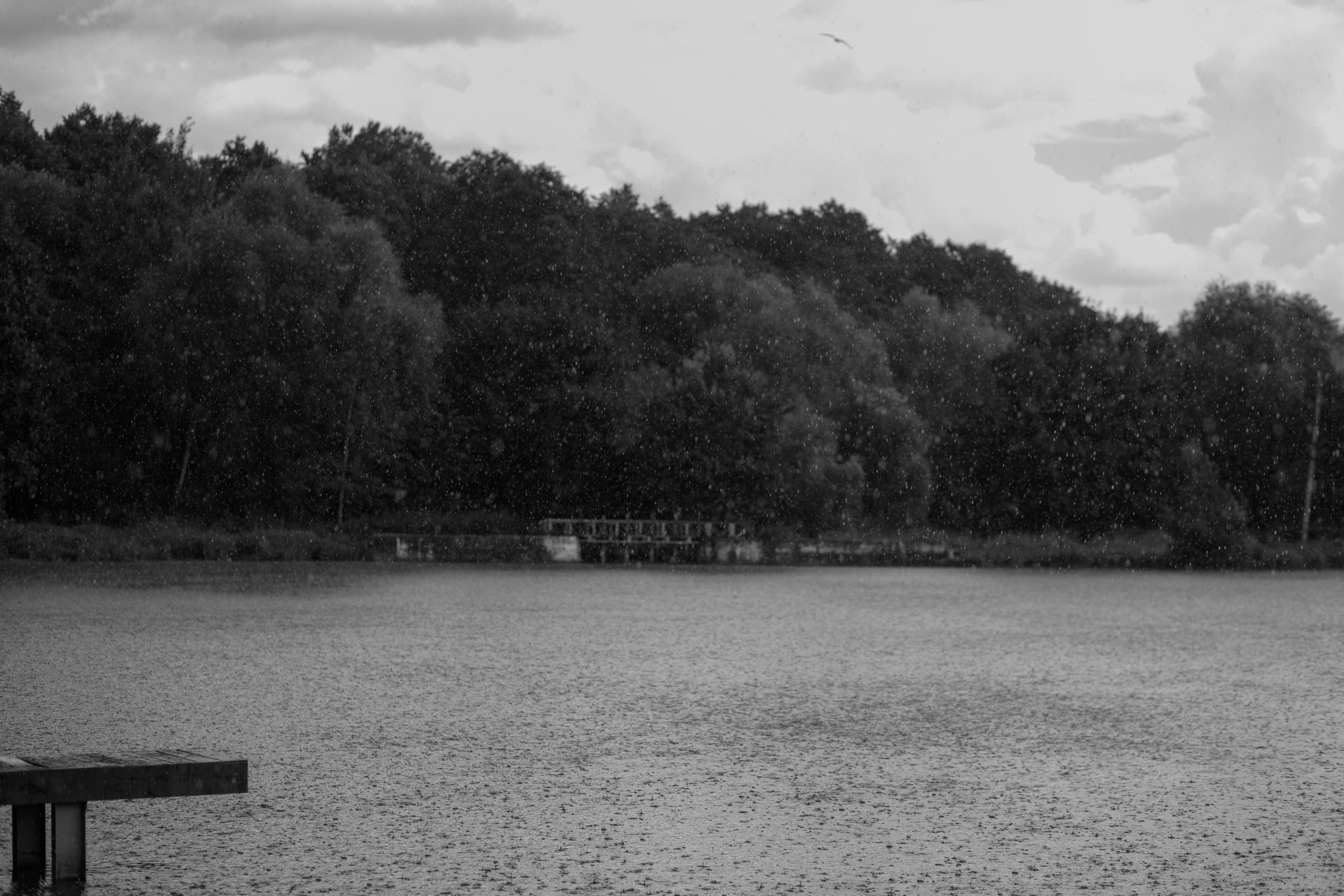 Алина & Андрей. Оформление свадеб, декор свадеб Вера Маркова, Москва