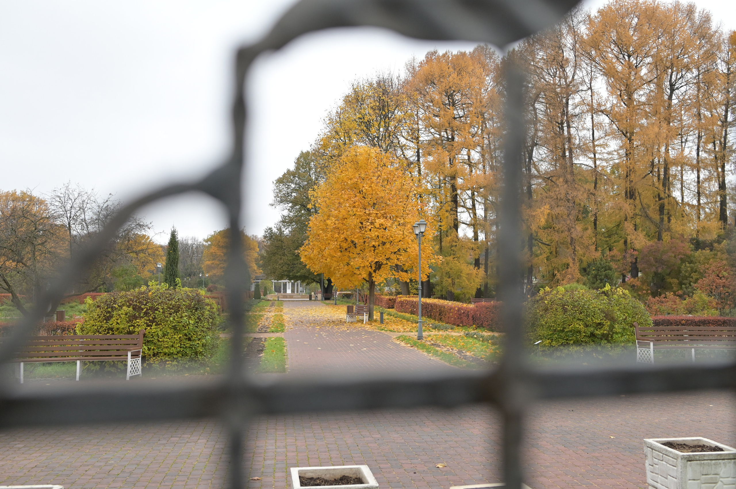 20241026 Сокольники. Дмитрий Ремизов. Фотография, как хобби