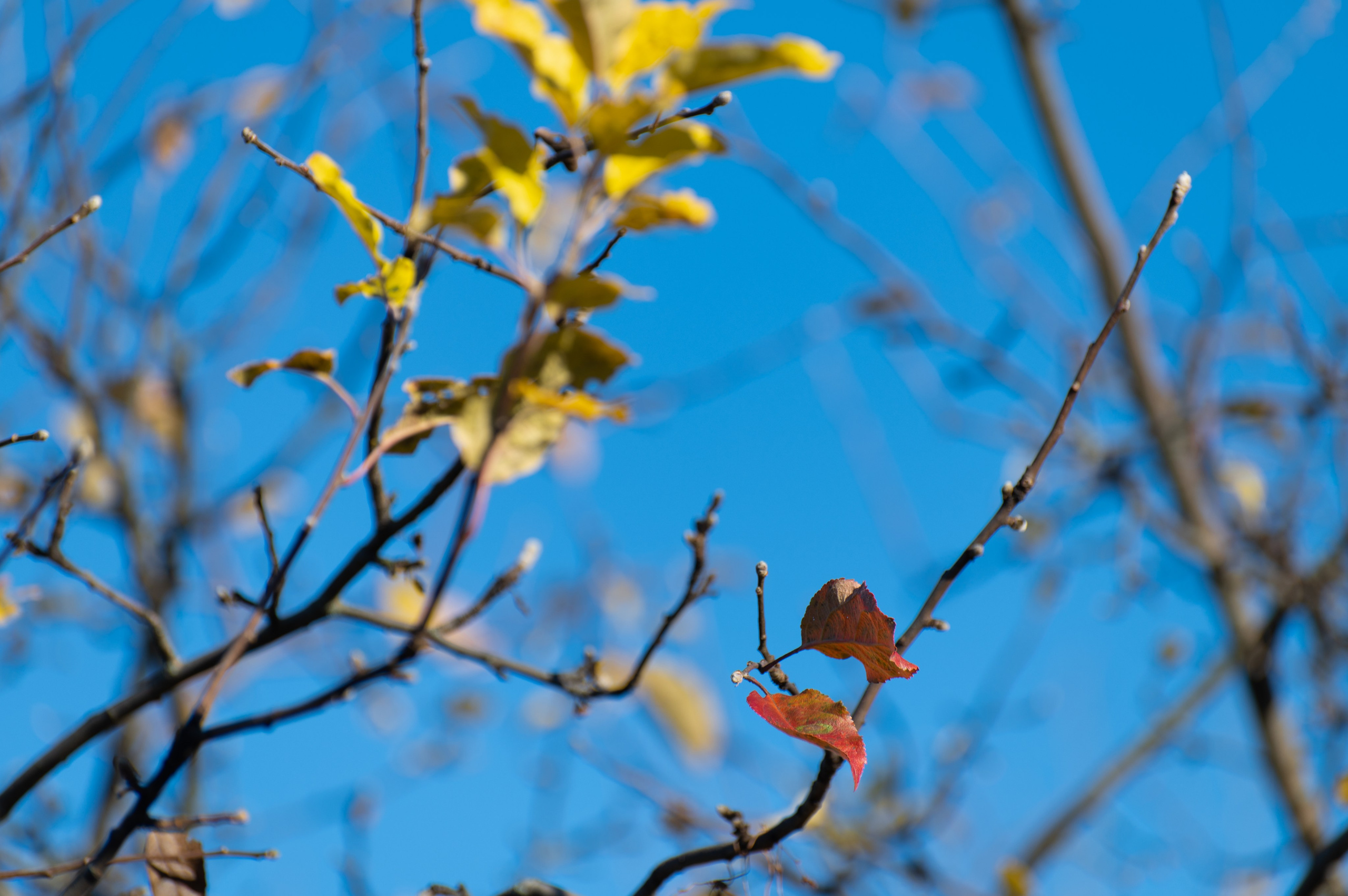 20241102 МГУ. Дмитрий Ремизов. Фотография, как хобби