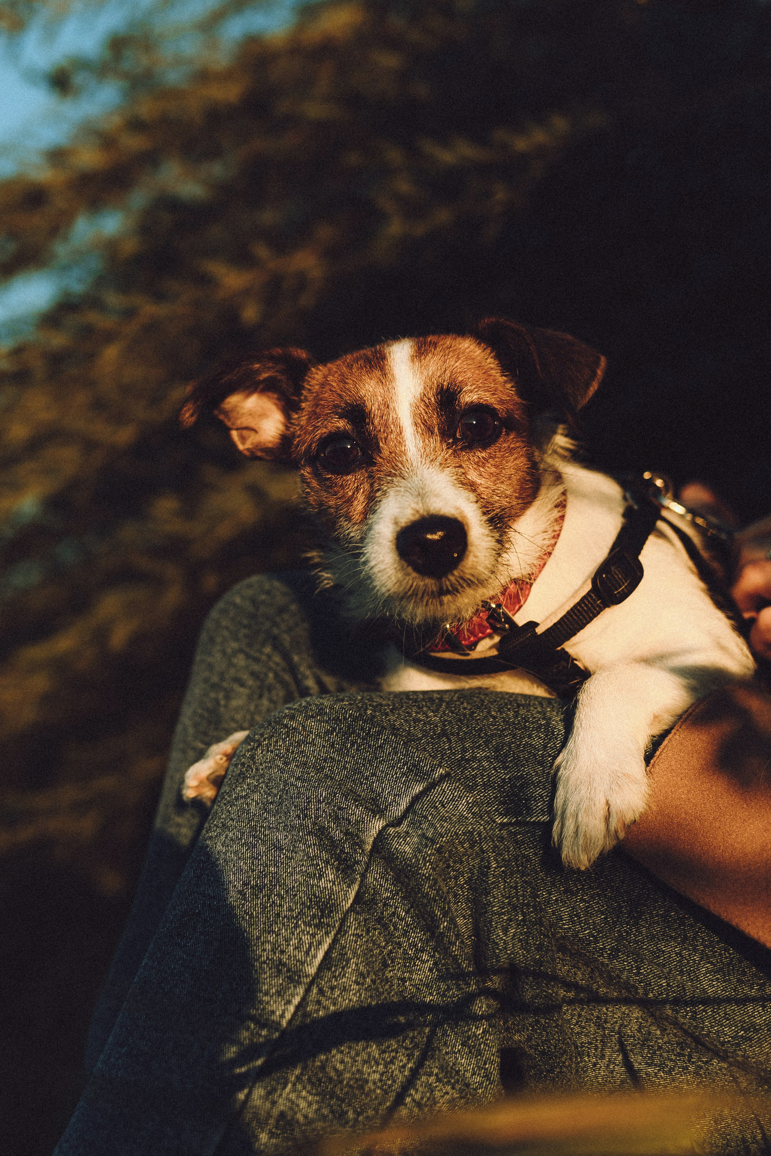 Лера и Рада