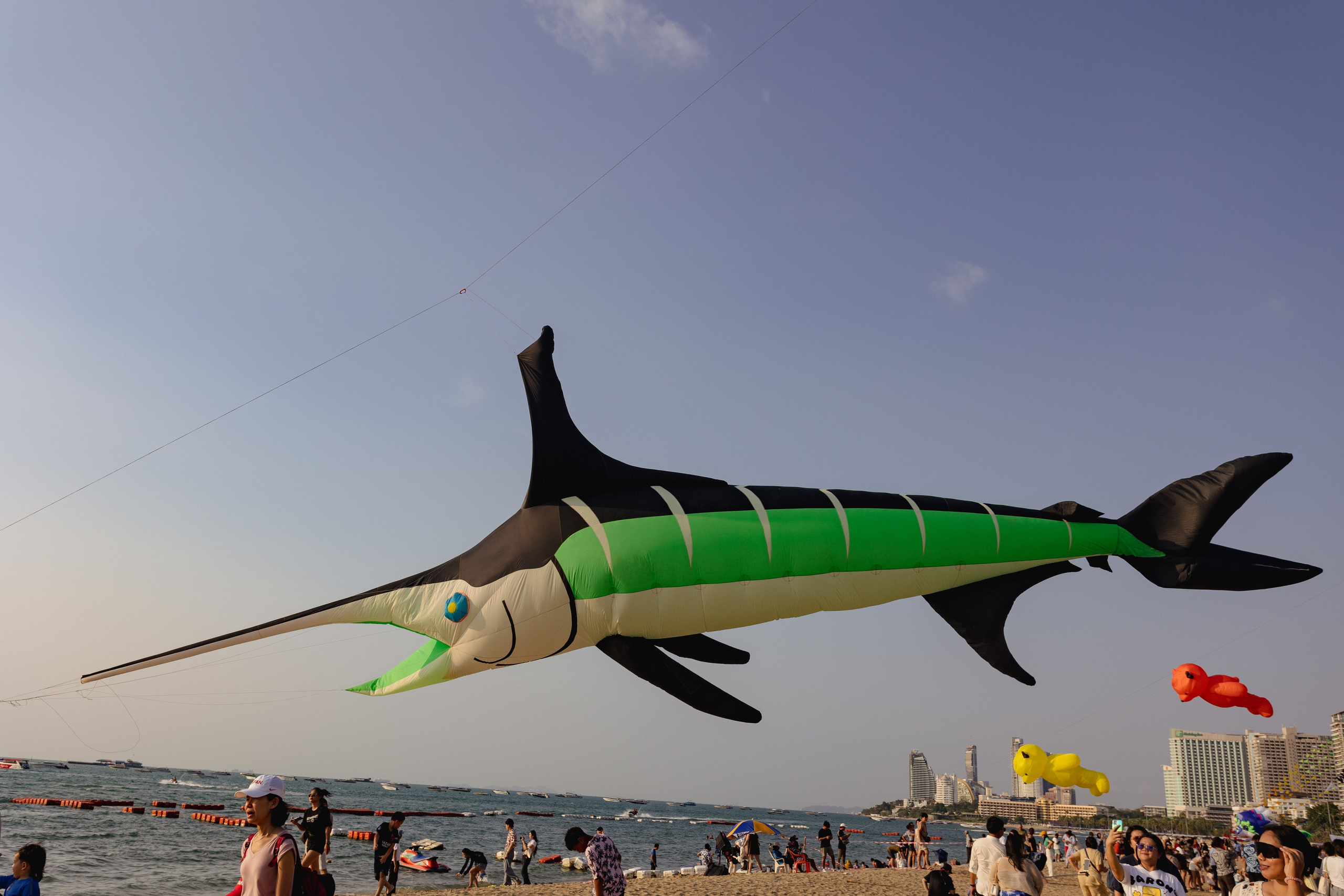 PATTAYA INTERNATIONAL KITE ON THE BEACH 2024. Photographer Sonkina Tatiana (Tanya Ash)