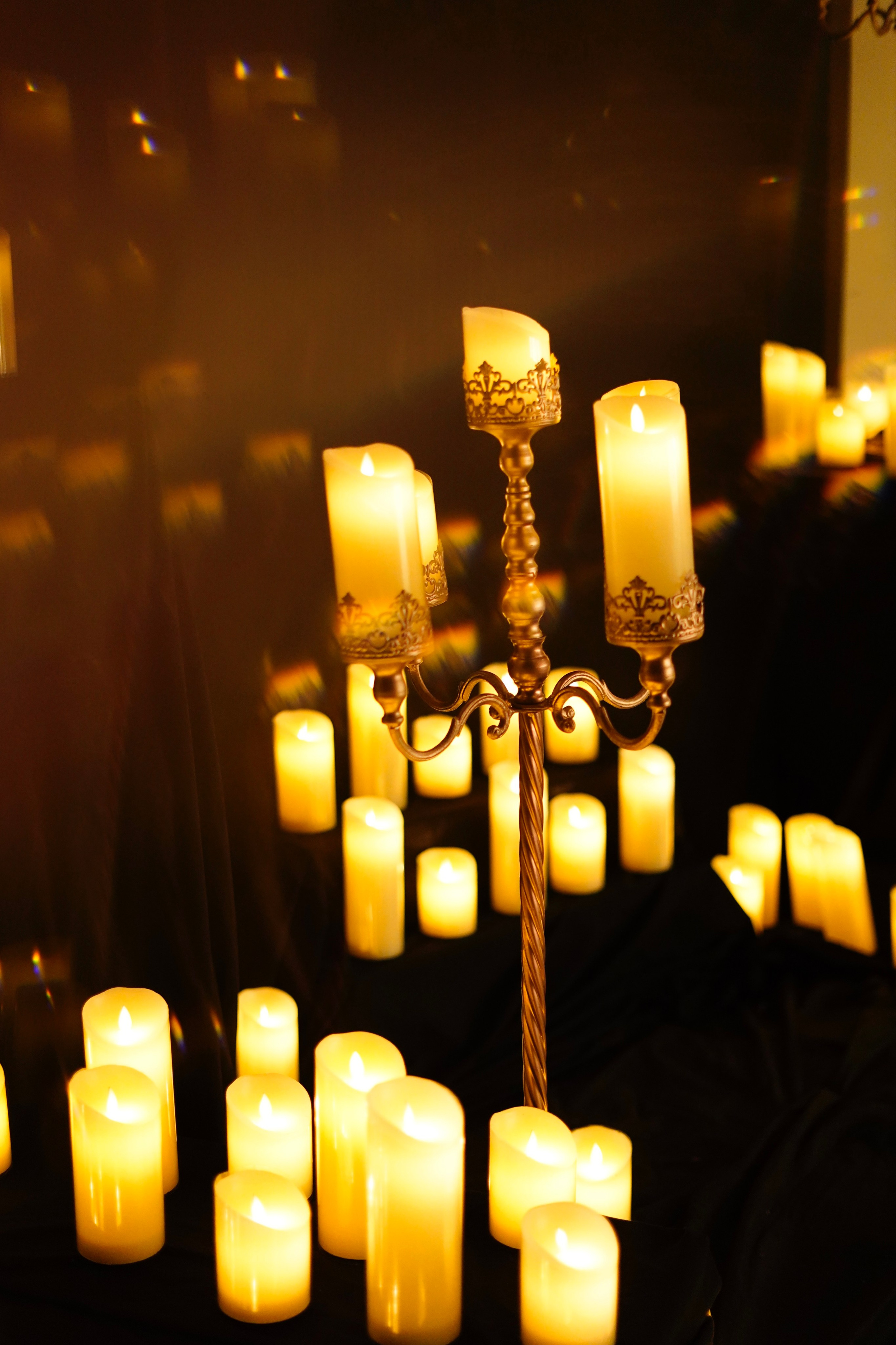 Luminary. Фотограф Гвоздева Варвара / Москва