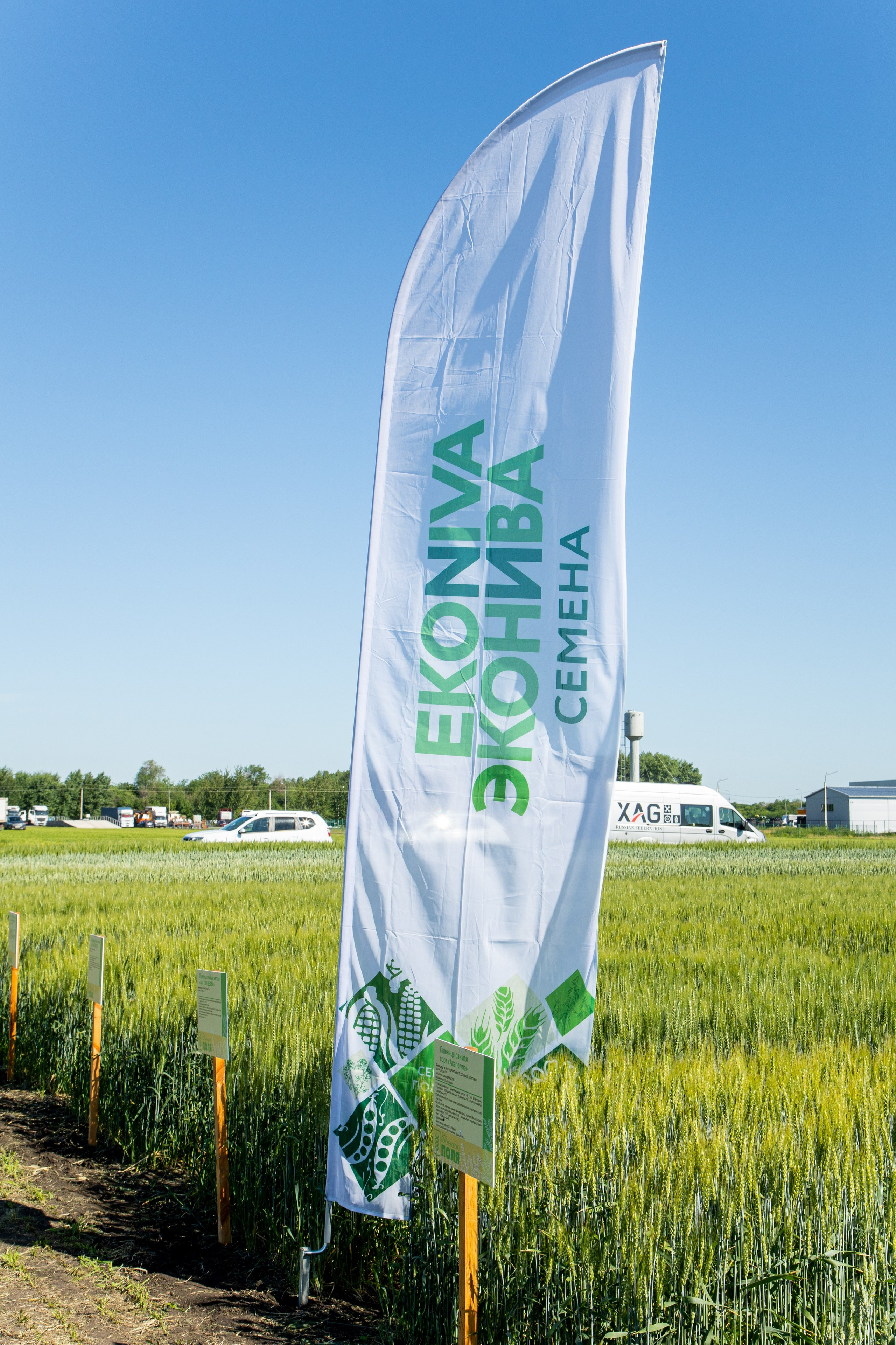 День Поля 2022. Владислав Волков | Фотография и видеосъемка в Воронеже