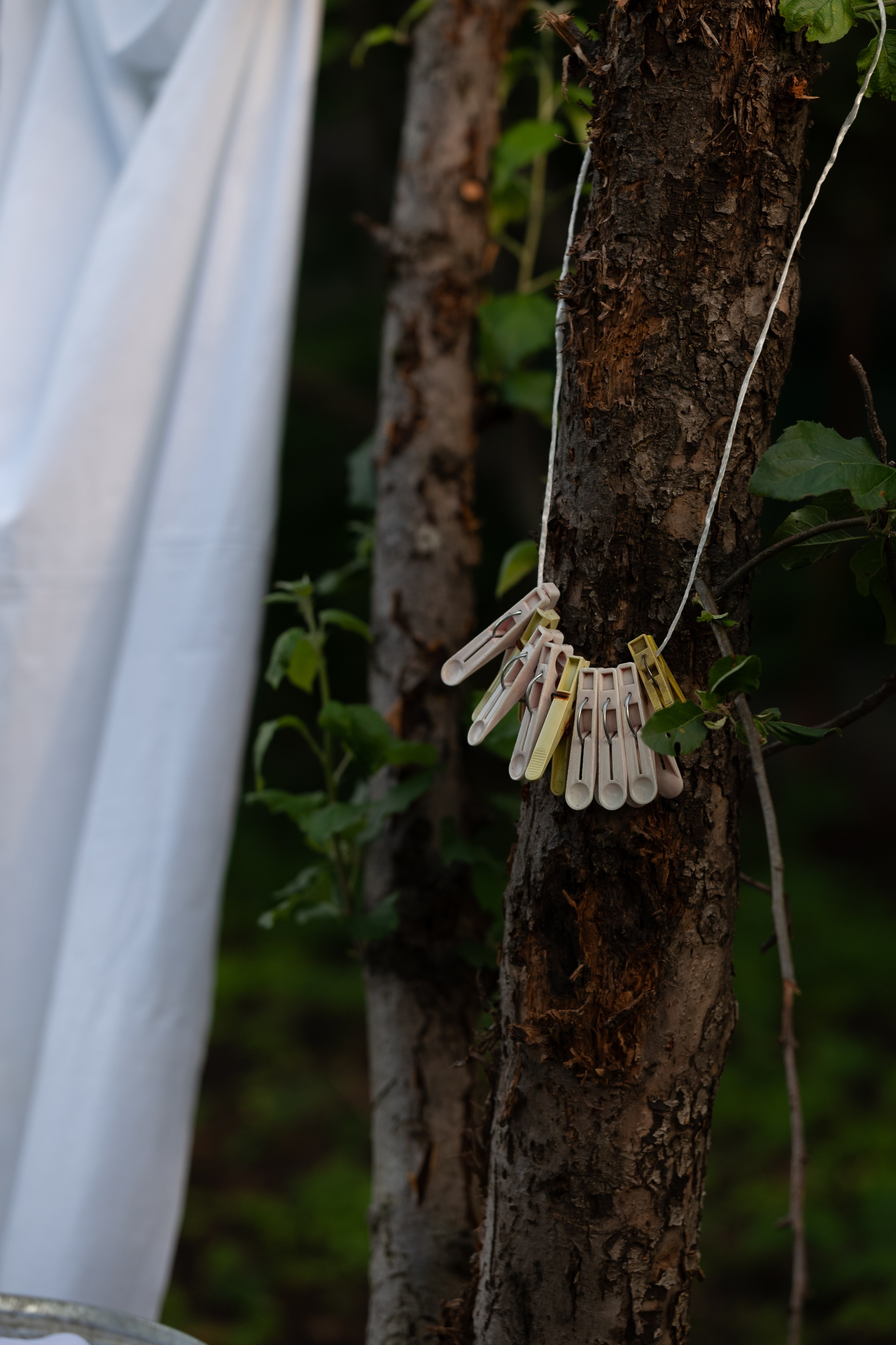 Альбом Постирушки. Фотограф в Армавире