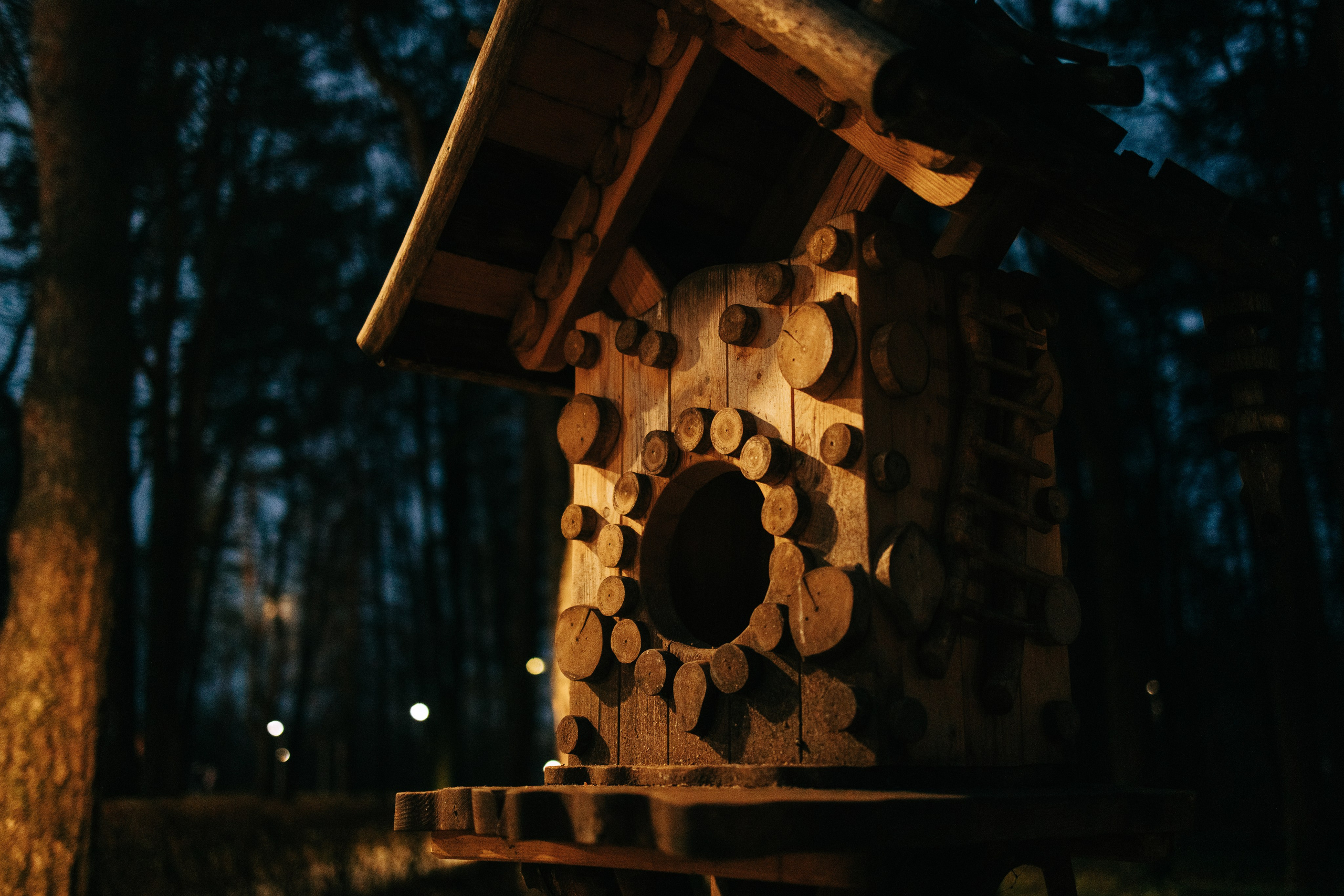 Алексин. Свадебный и семейный фотограф в Туле и области Маша Костина