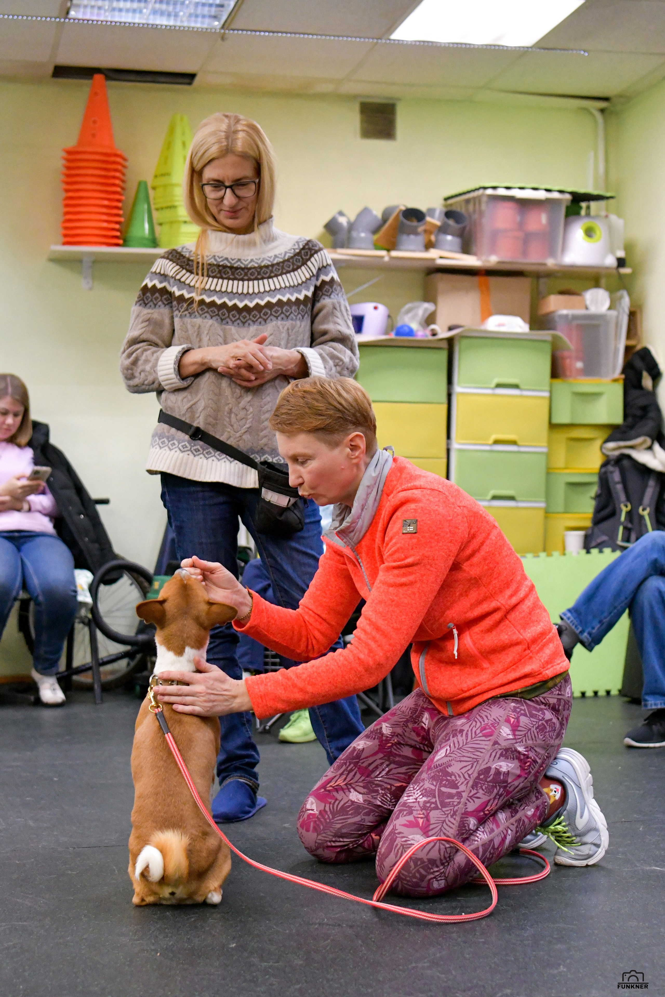 Кинологический клуб «Бодрый хвост». Свой взгляд через объектив