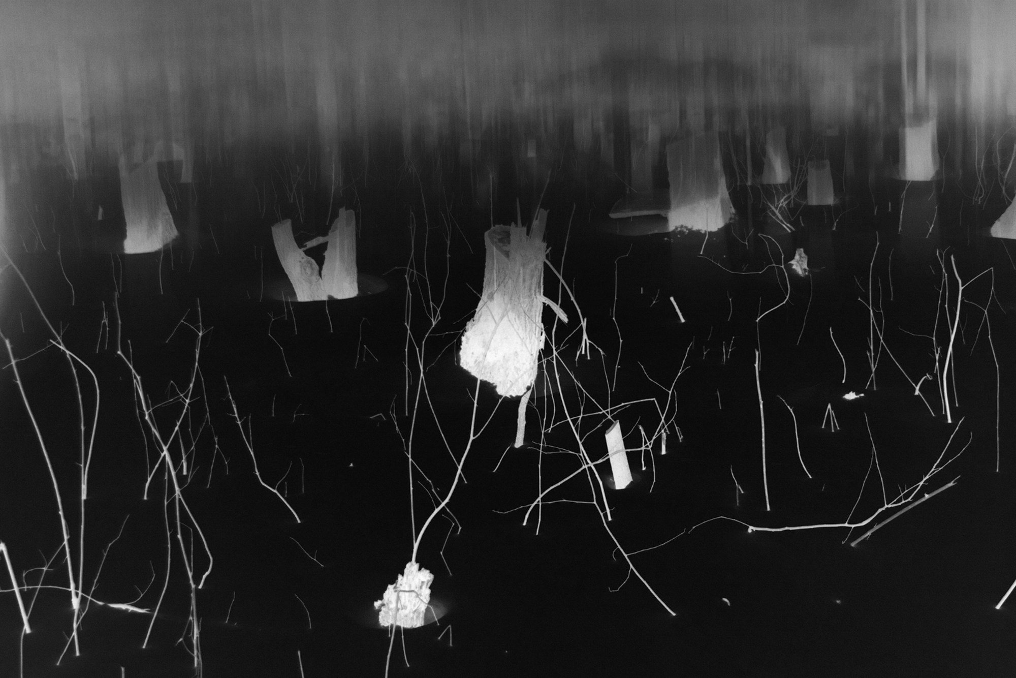 Teplushka project. Янина болдырева Yanina Boldyreva