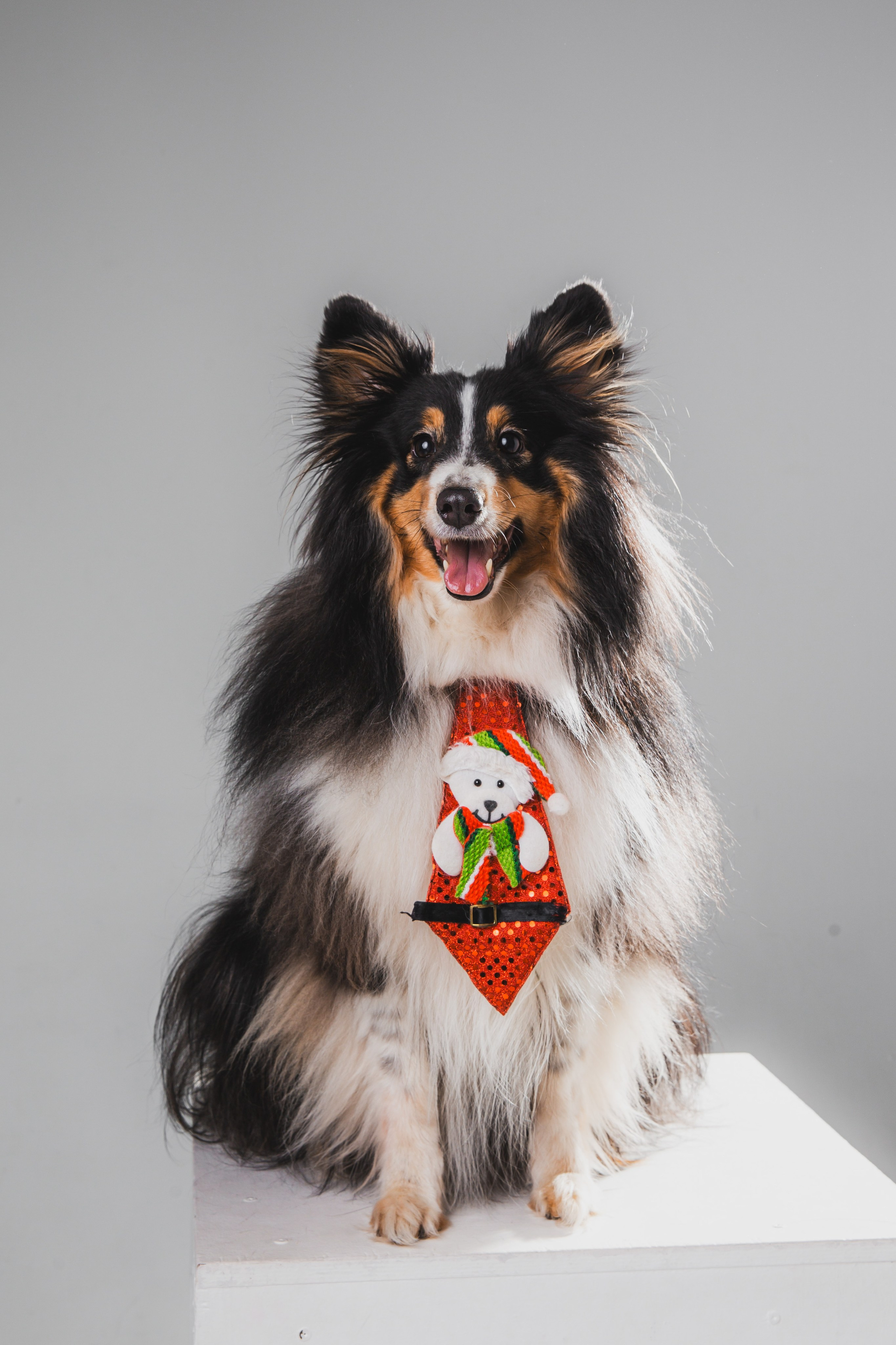 Воркшоп по импульсному свету