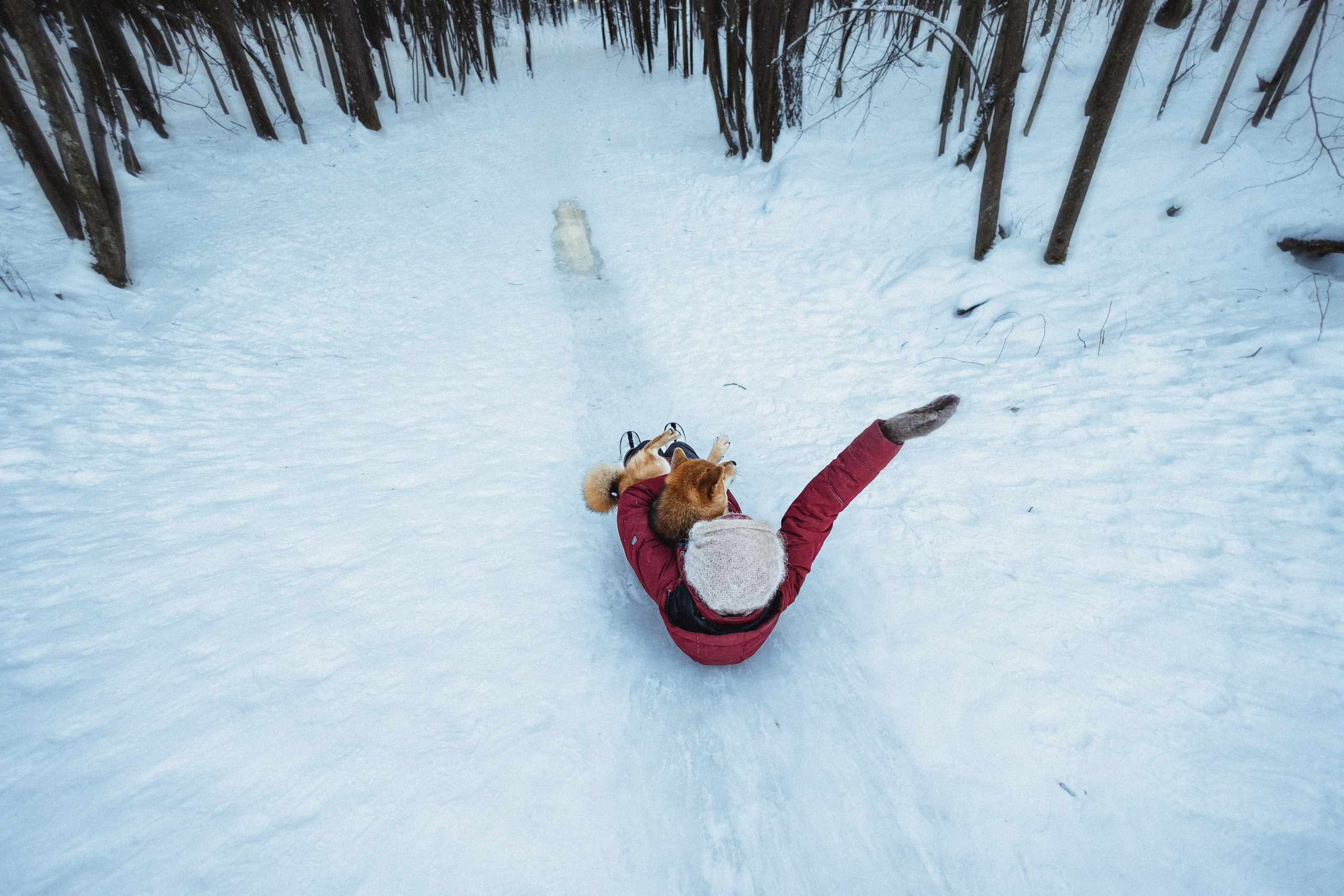 Шед, Цири и Ира