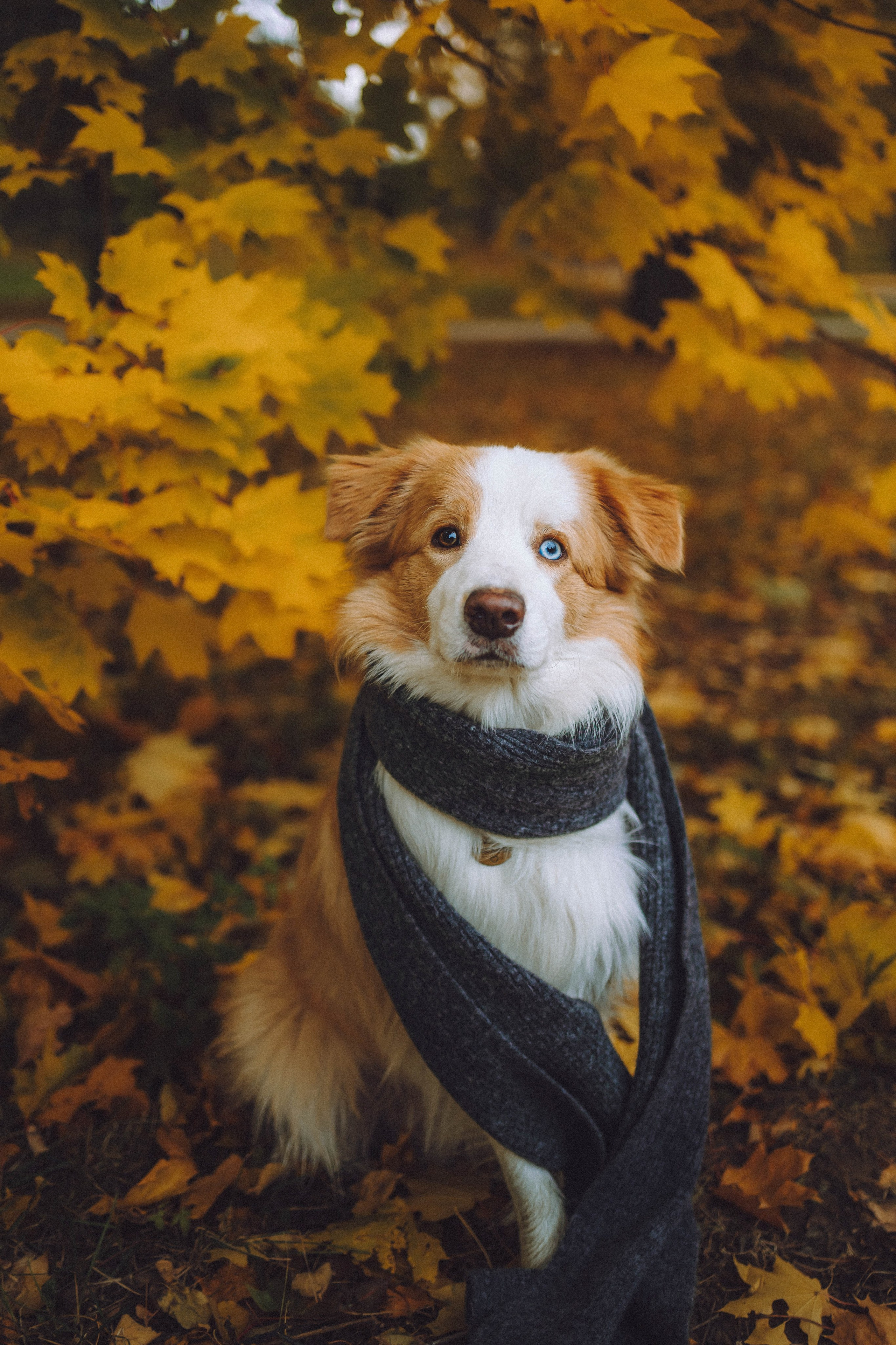 Алина, Витя и Асти