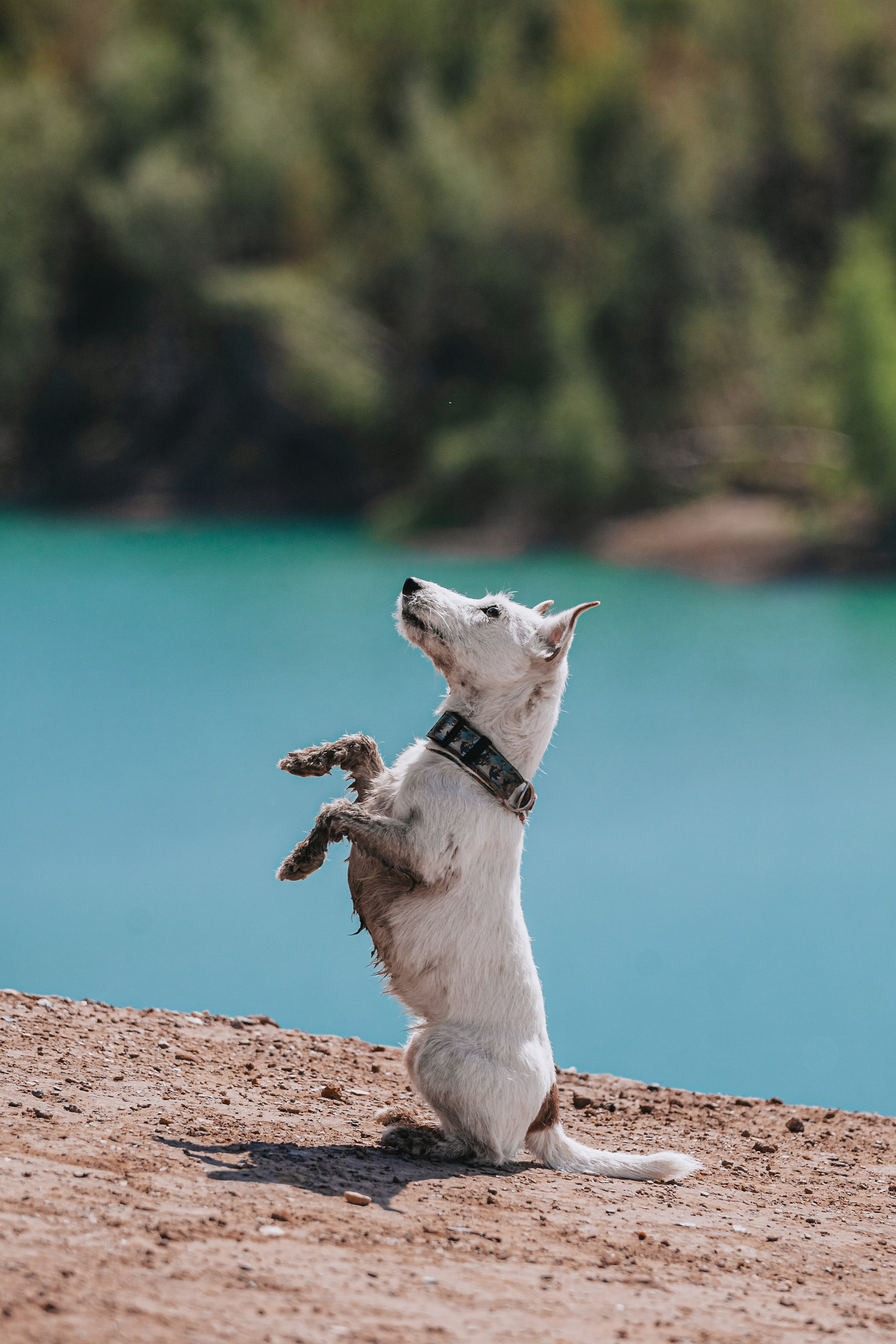 Кондуки. Фотограф-анималист Татьяна Степанова