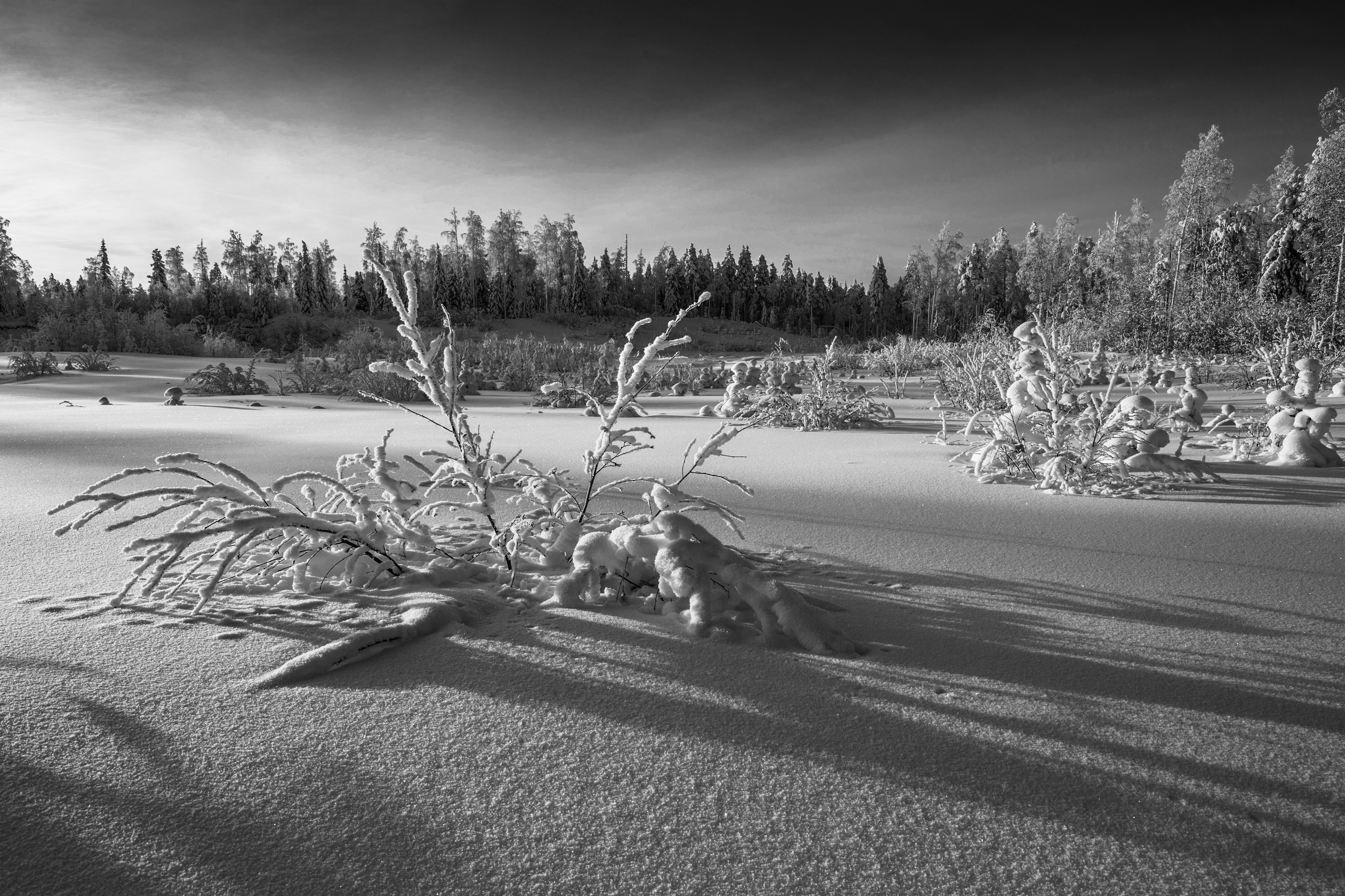 Черно-белые пейзажи. Фотограф Татьяна Борисова
