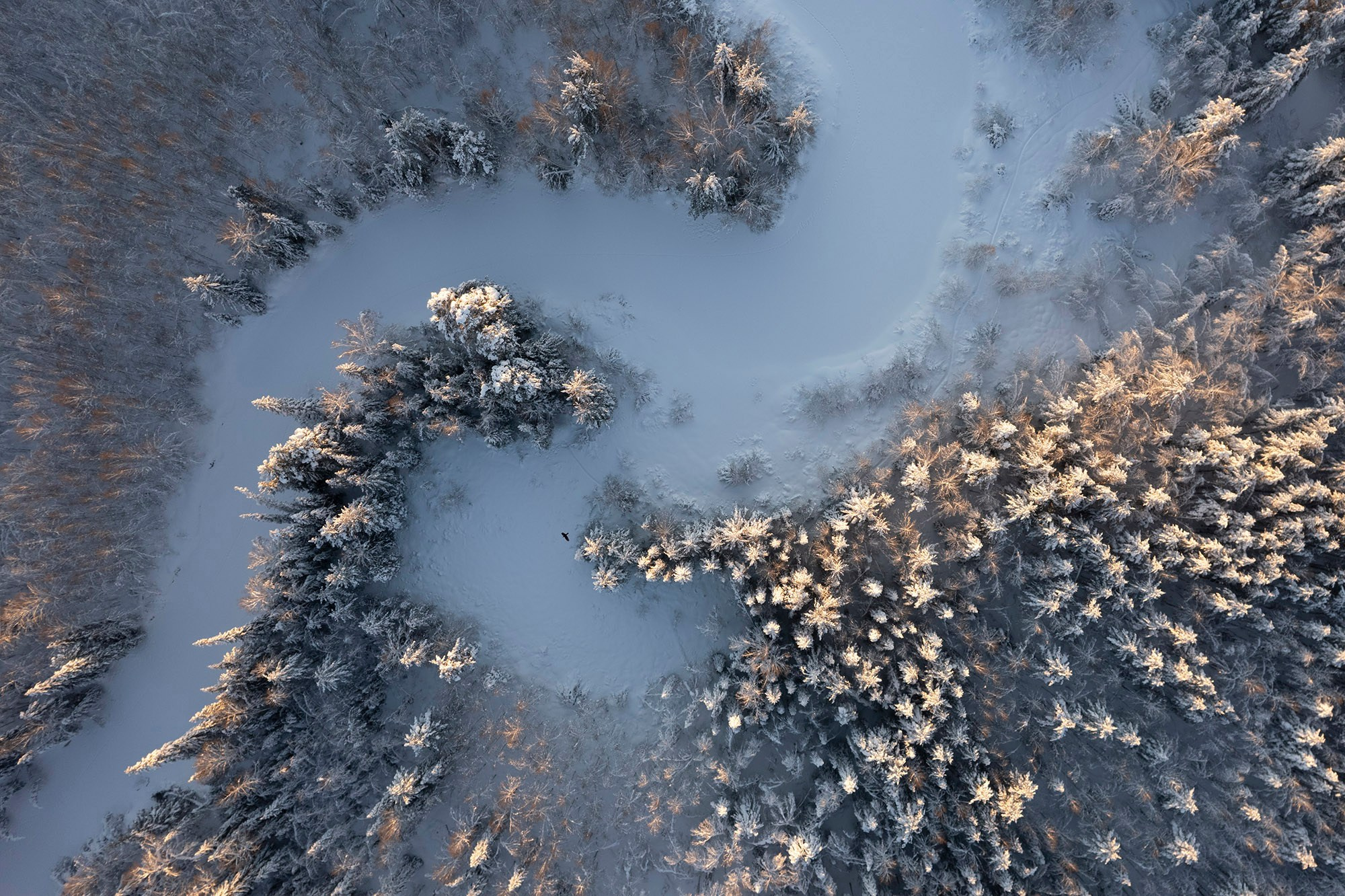 Портфолио. Фотограф Татьяна Борисова