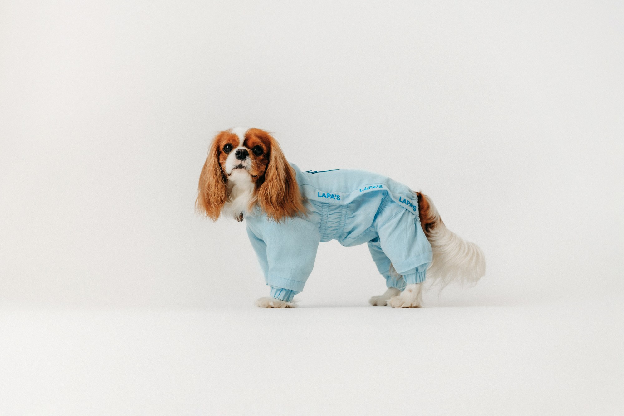 Одежда Lapa`s brand. Фотограф-анималист Елена Радченко, Москва