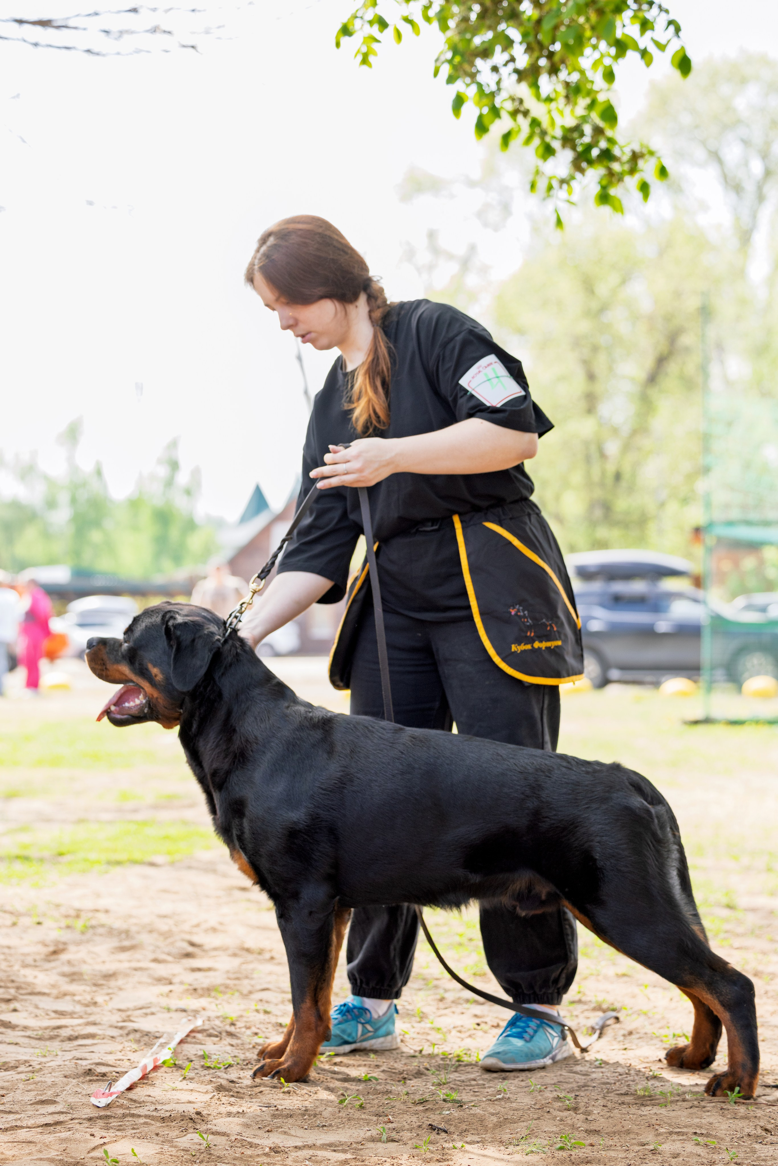 Саратов моно ротвейлеров 26-27.04.2025. Фотограф-анималист Юлия Германика