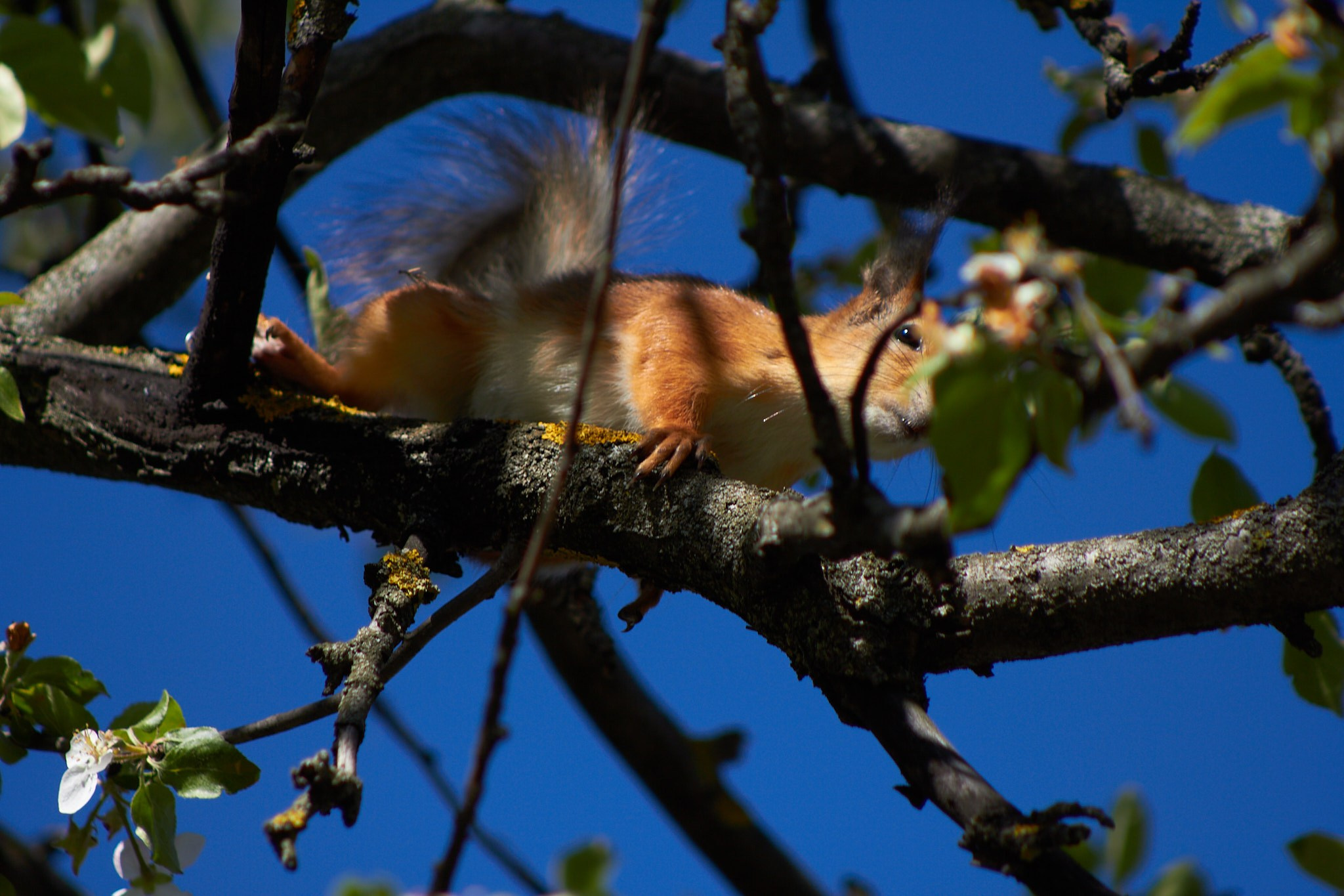 Живность. Фотограф Сергей Яркин