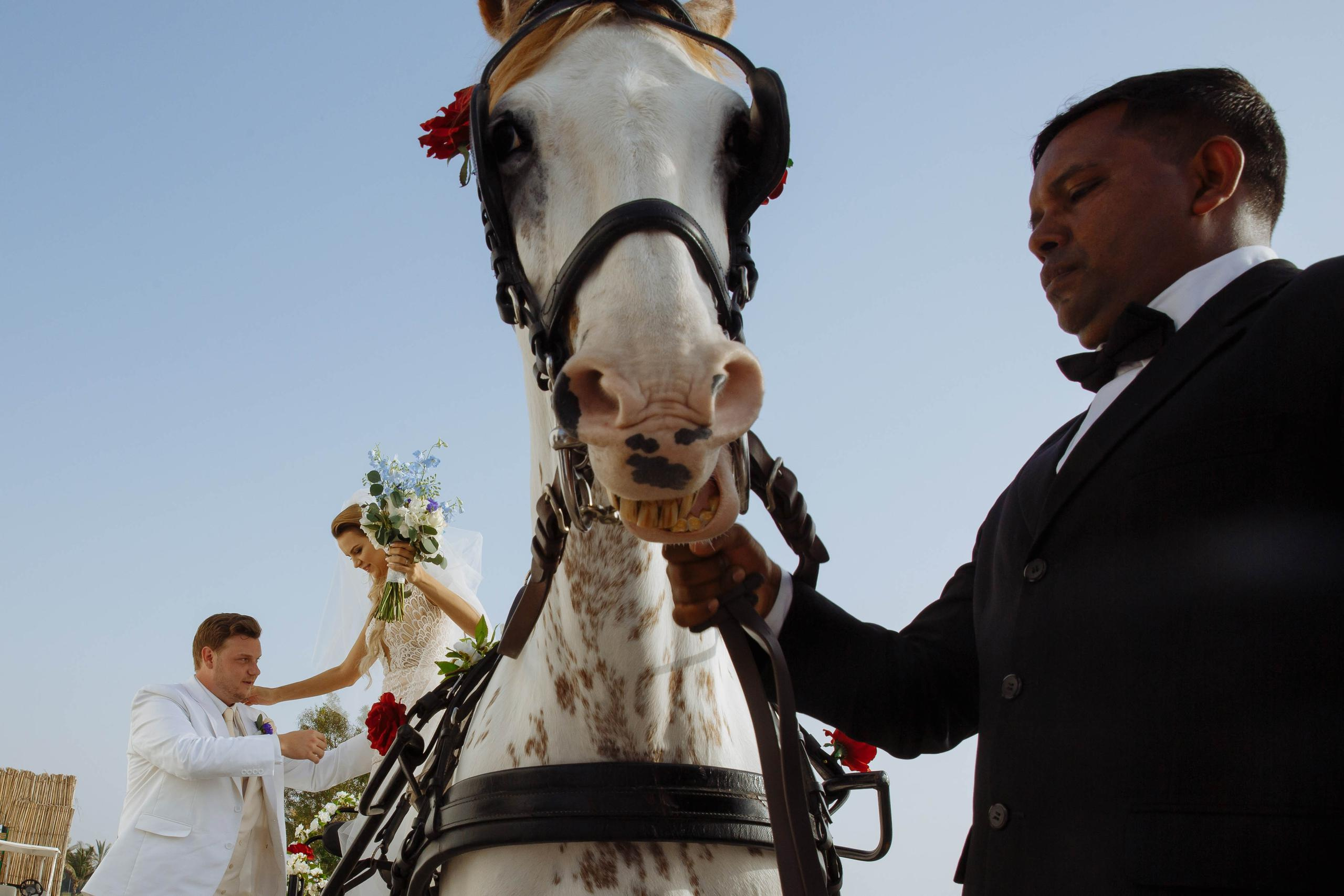 Лиза Каражова